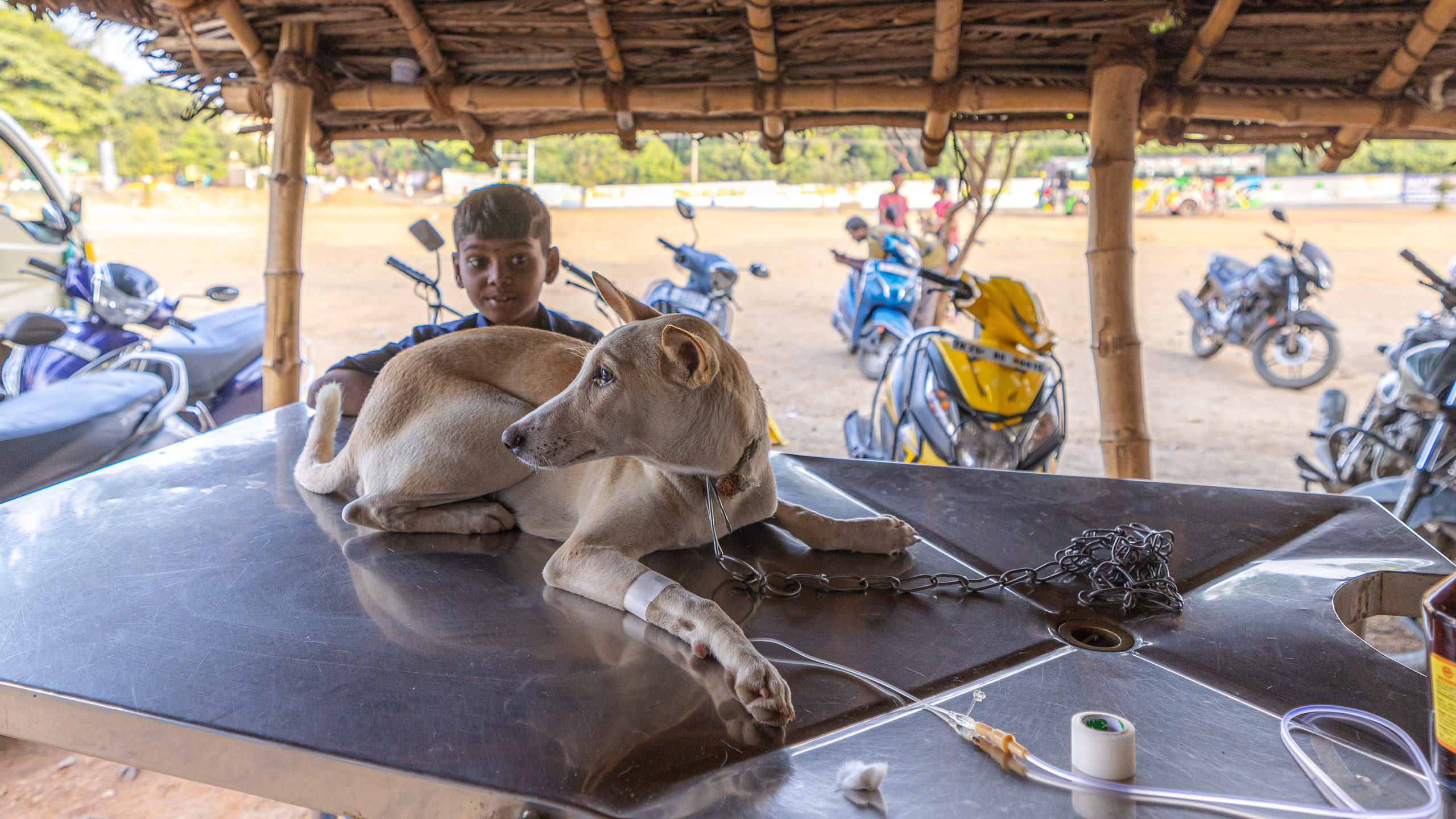 20231231164512 R5D 0738