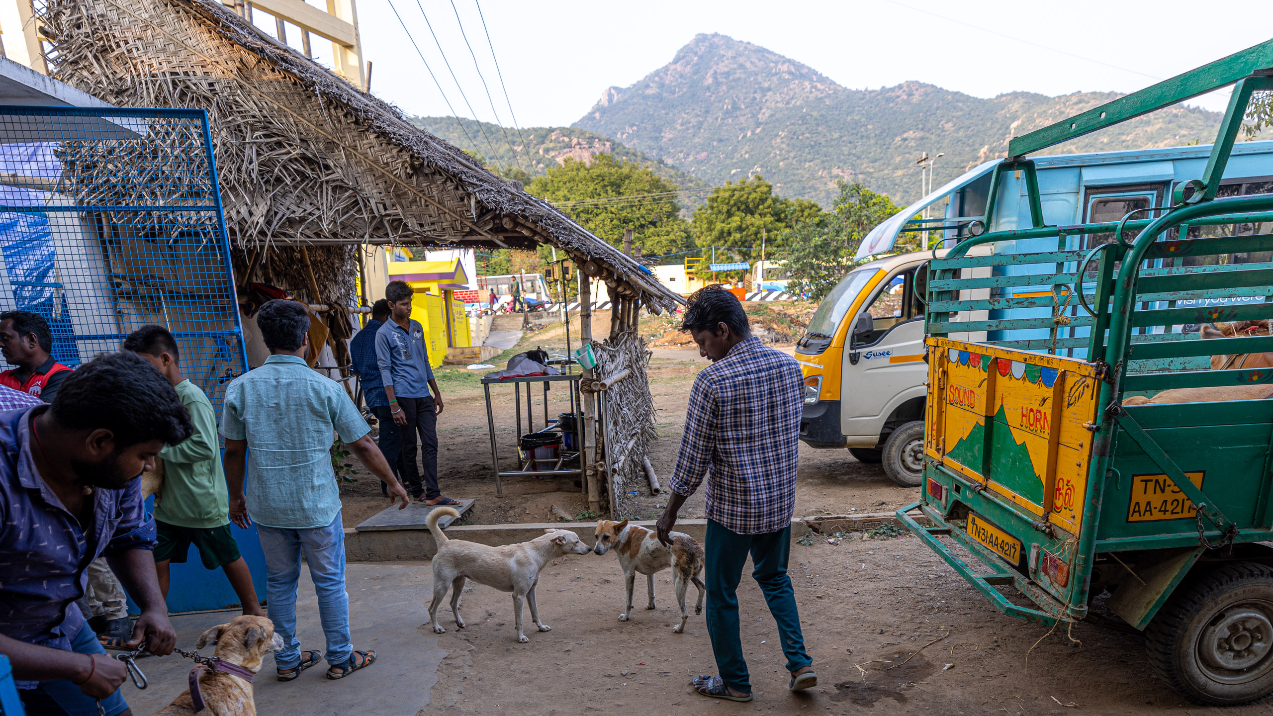 20231231164526 R5D 0744