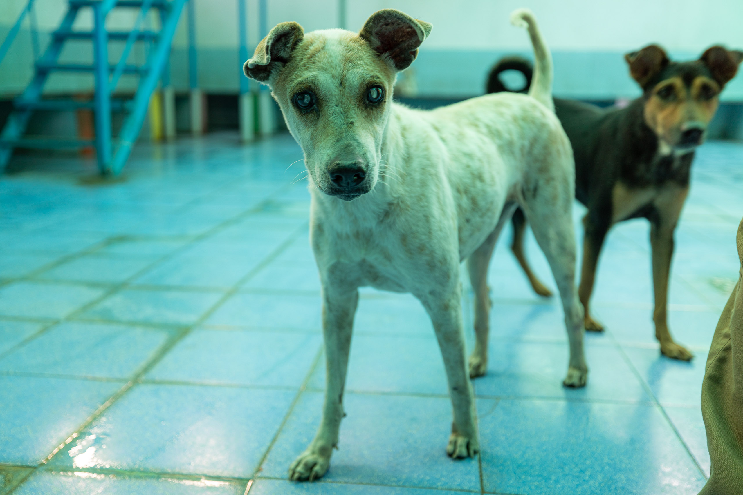 20231231164738 R5D 0766