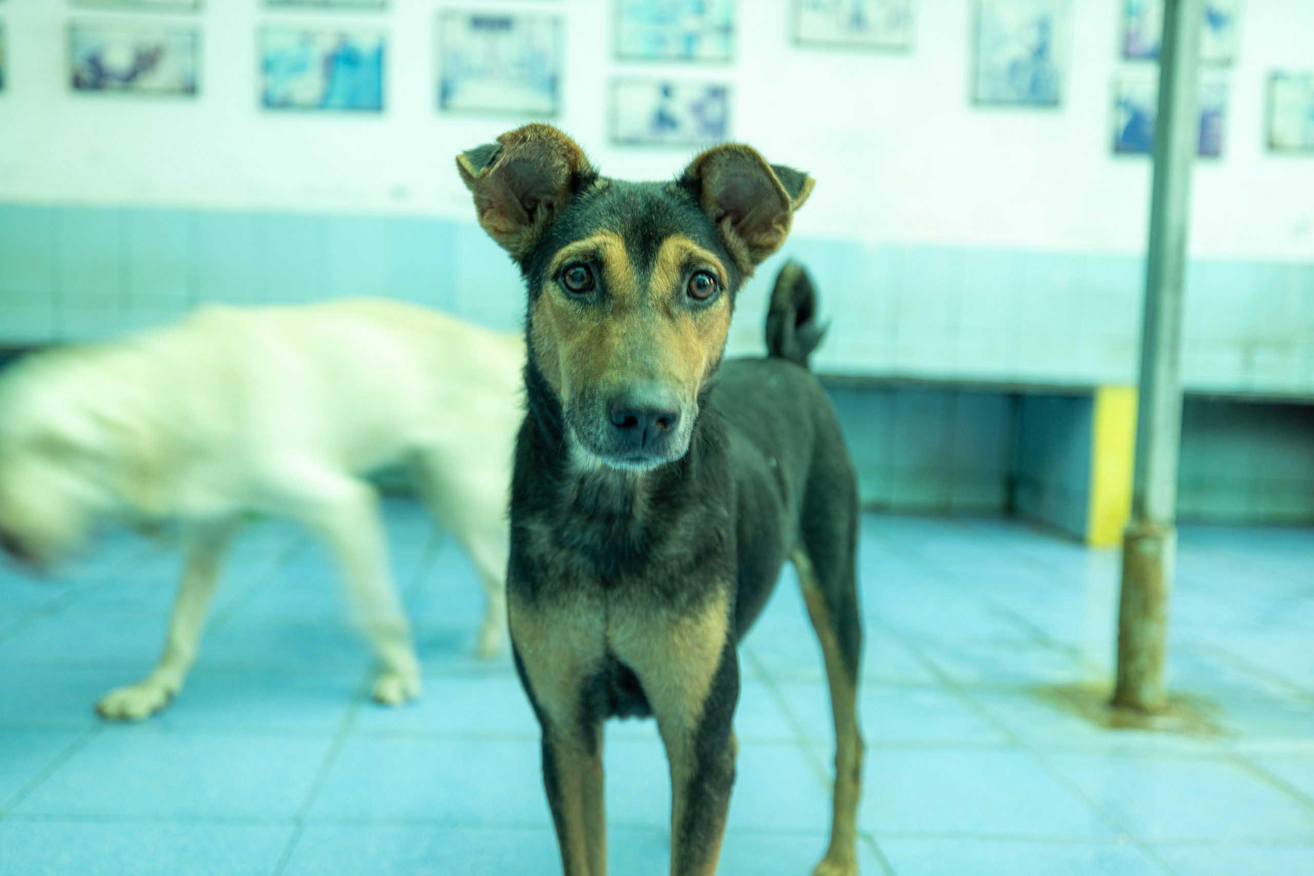 20231231164756 R5D 0774