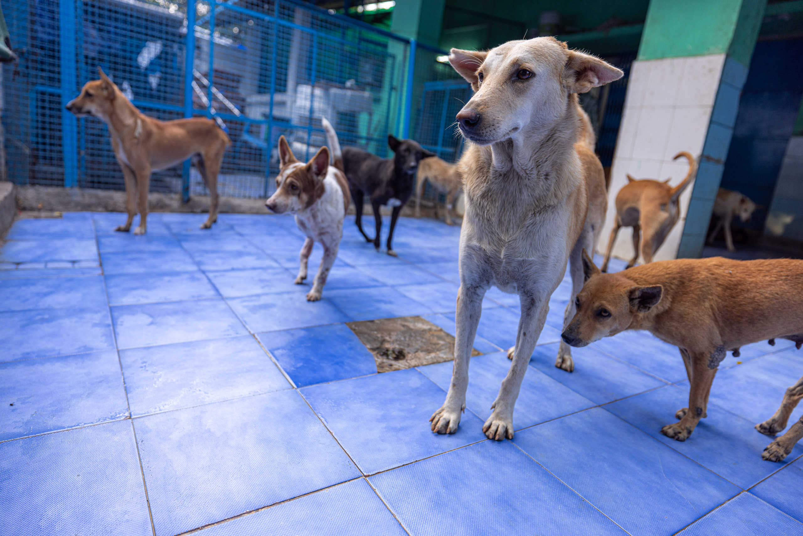 20231231165053 R5D 0882