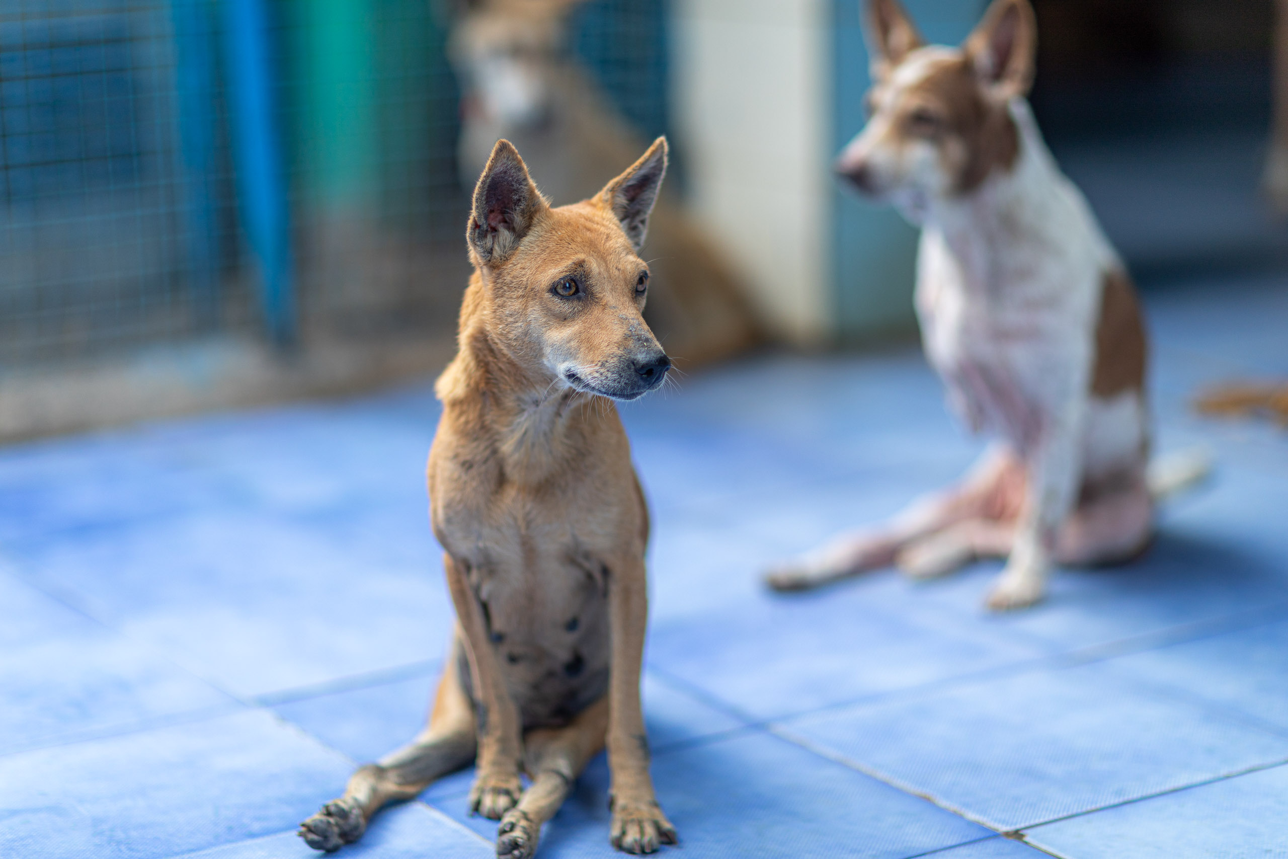 20231231165301 RD4 8095