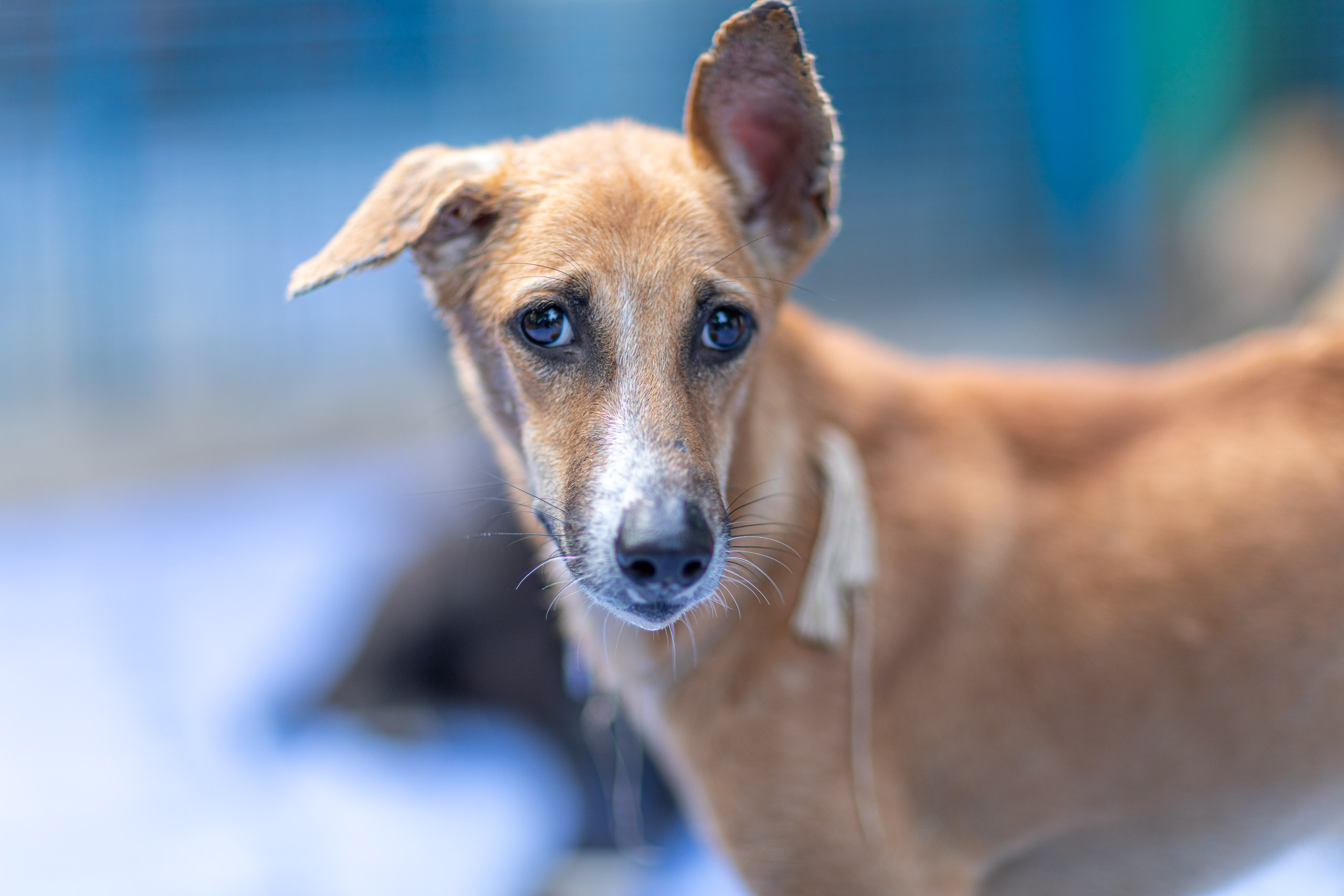 20231231165313 RD4 8103