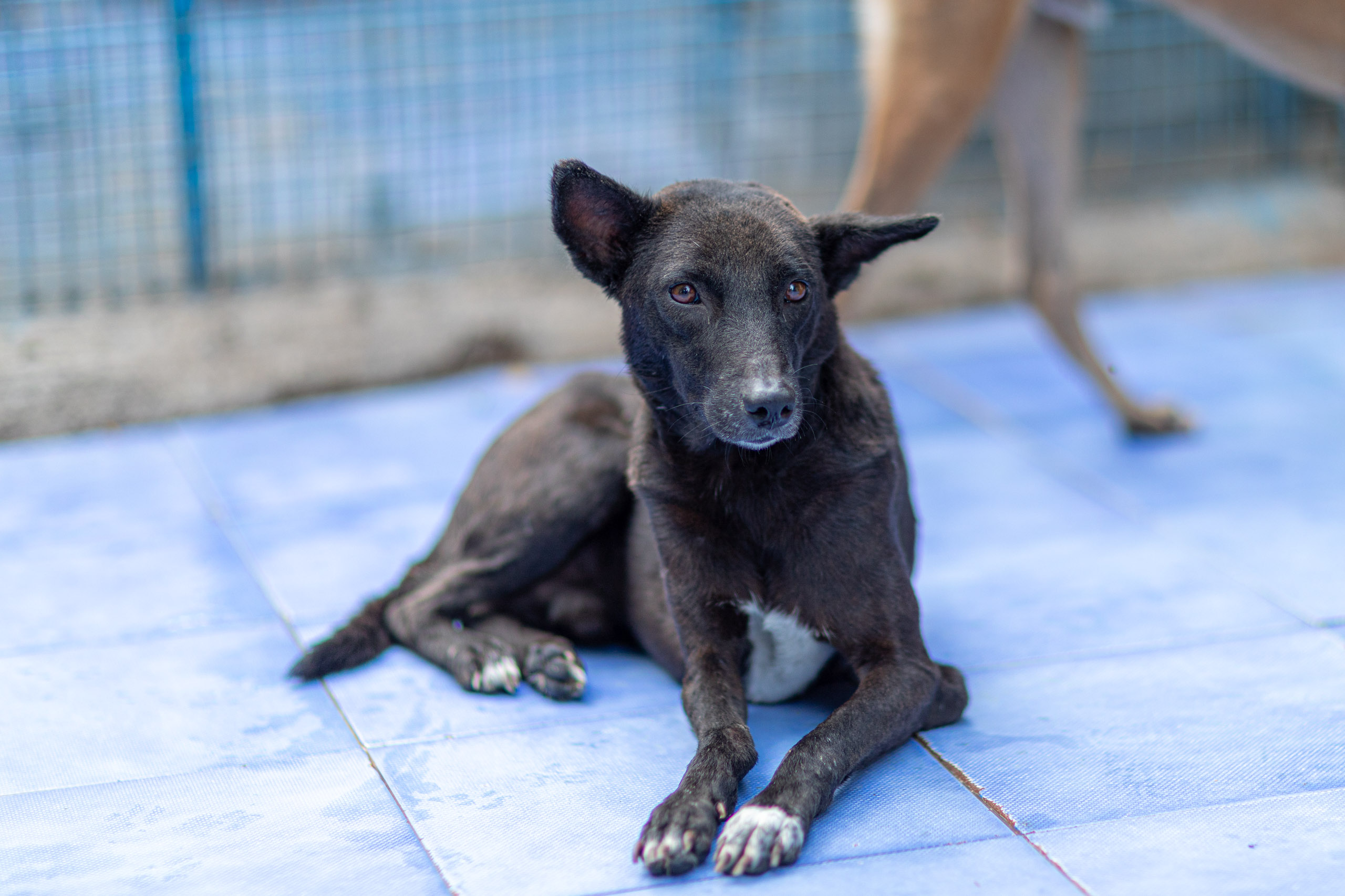 20231231165320 RD4 8107