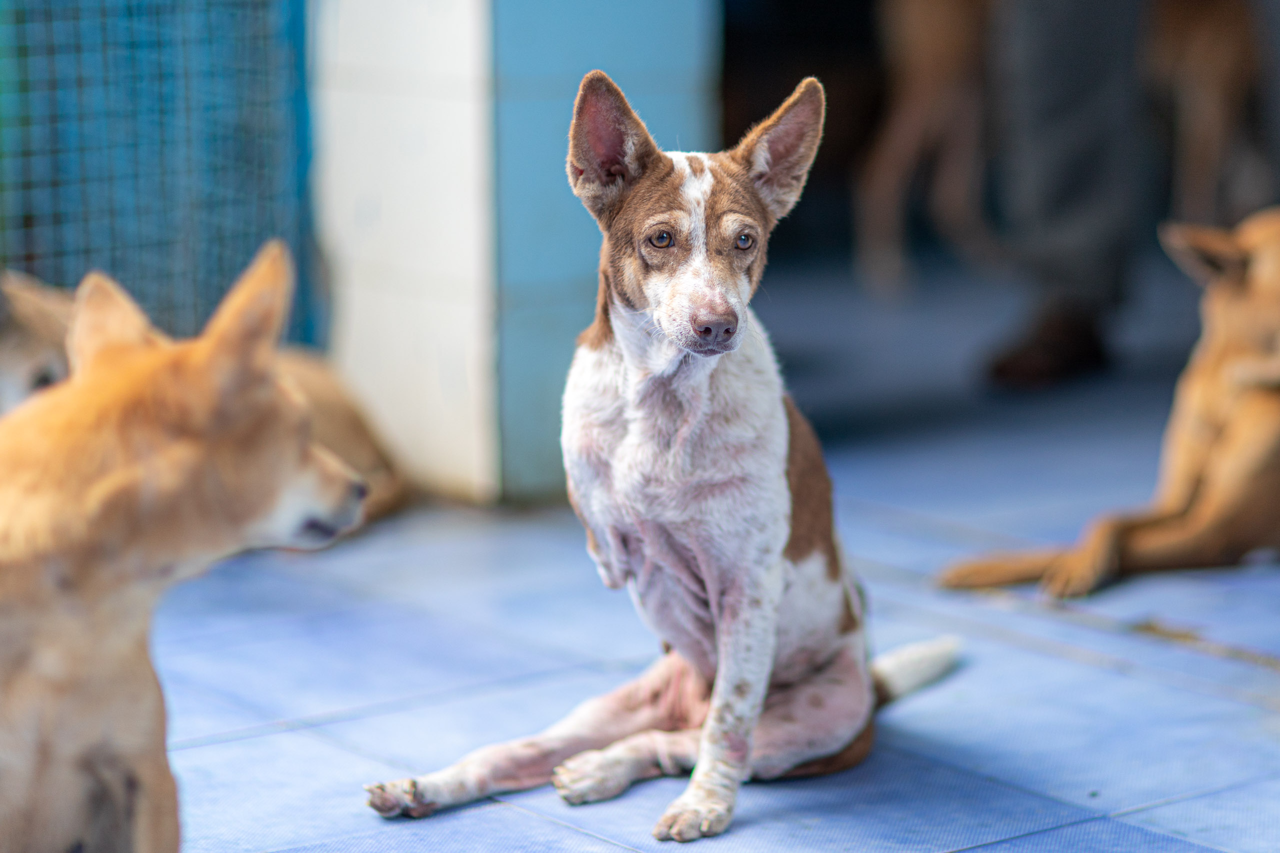 20231231165329 RD4 8113