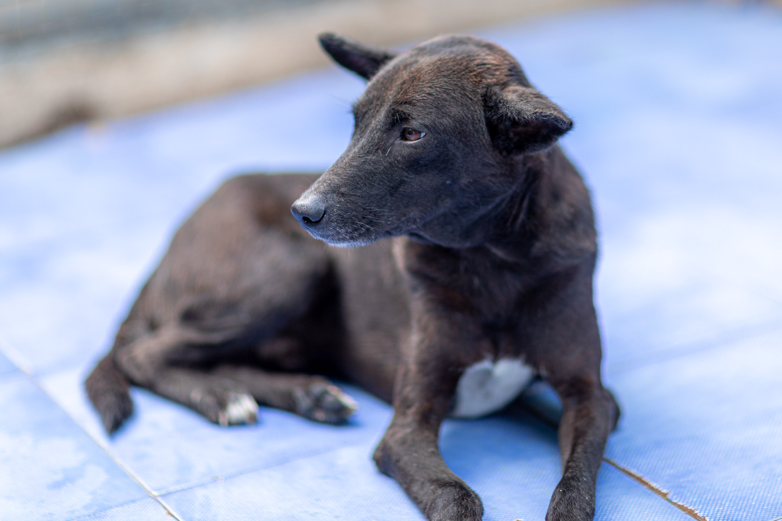 20231231165355 RD4 8126