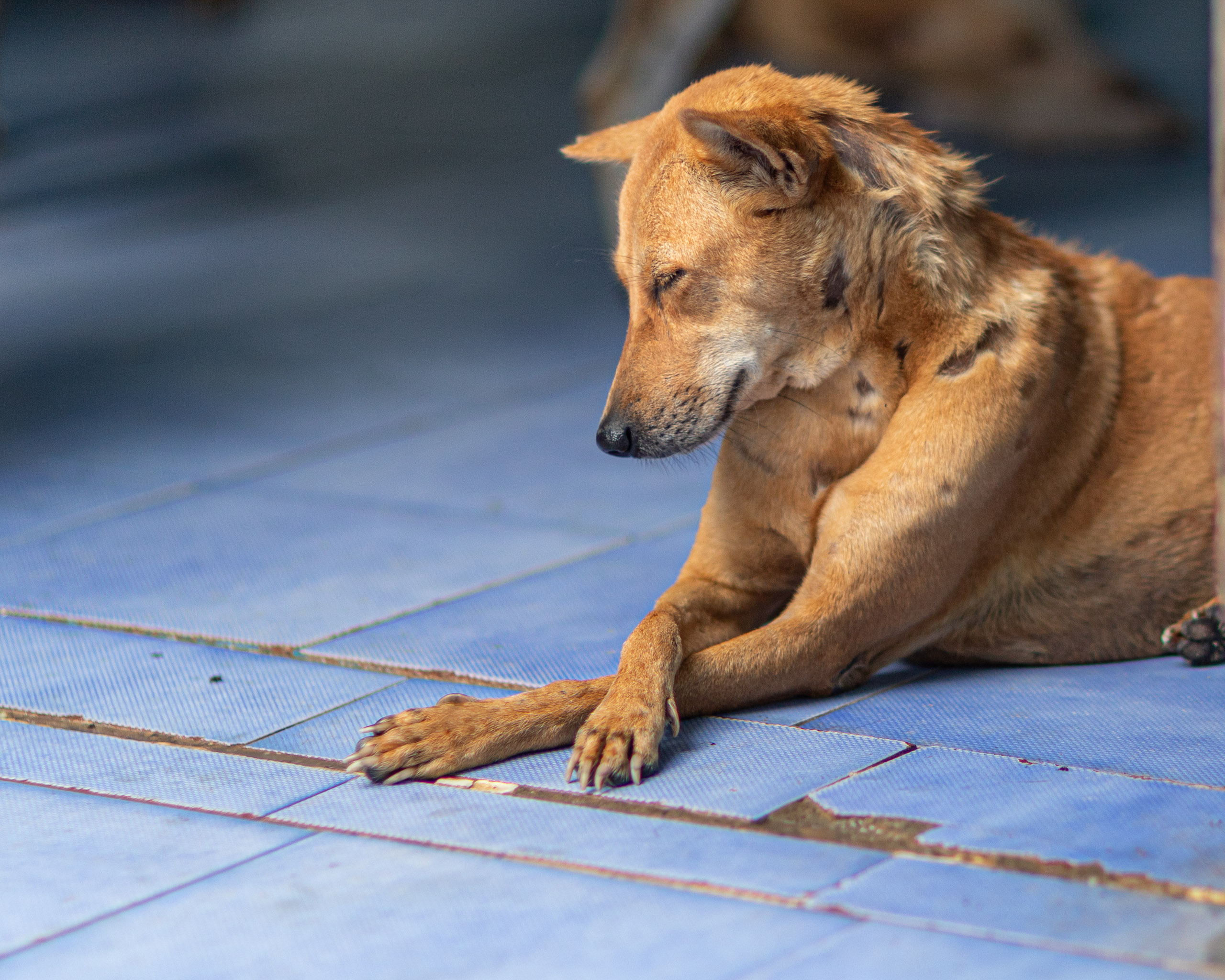 20231231165405 RD4 8130