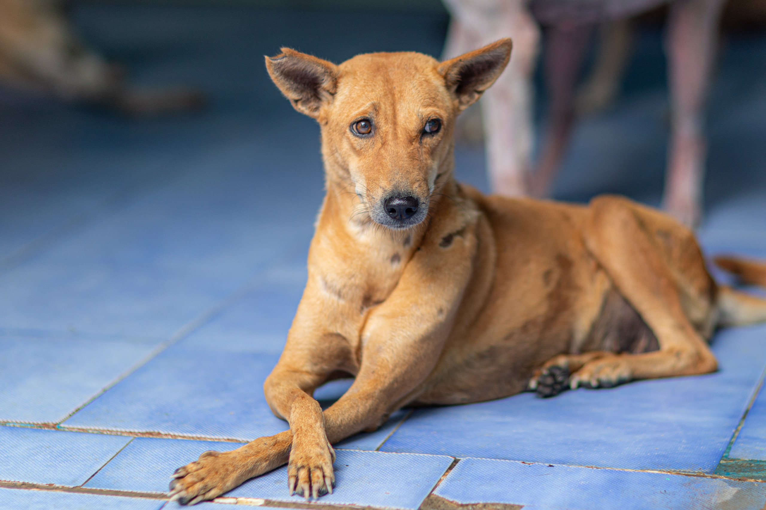 20231231165413 RD4 8132