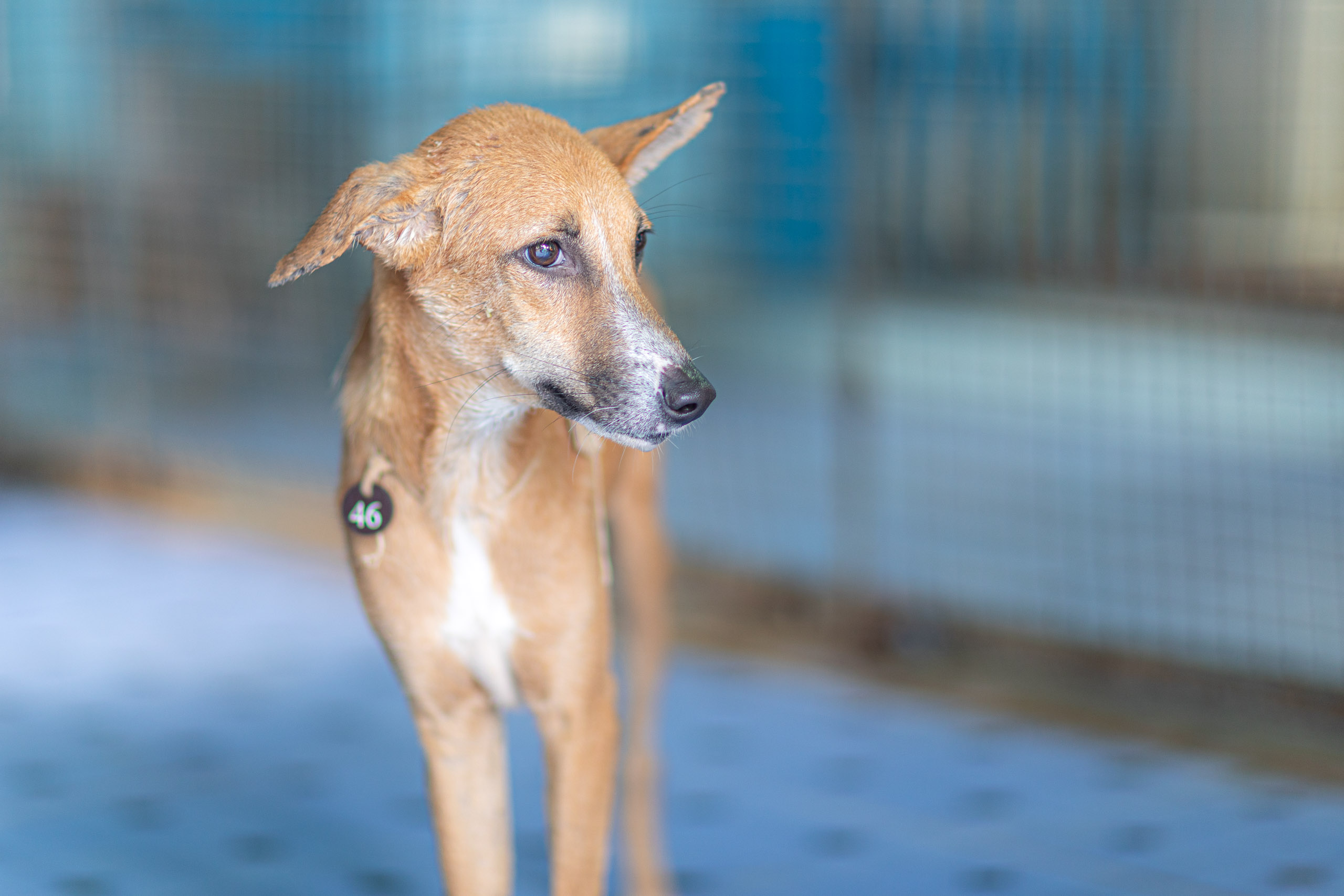 20231231165448 RD4 8141