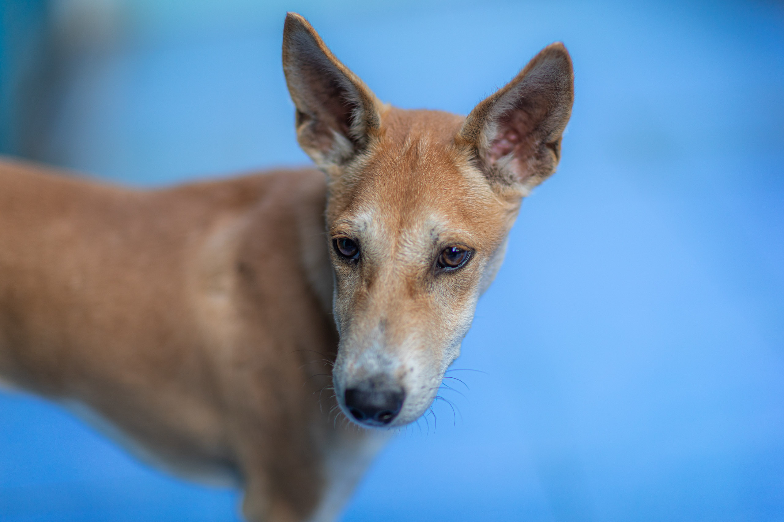 20231231165515 RD4 8157