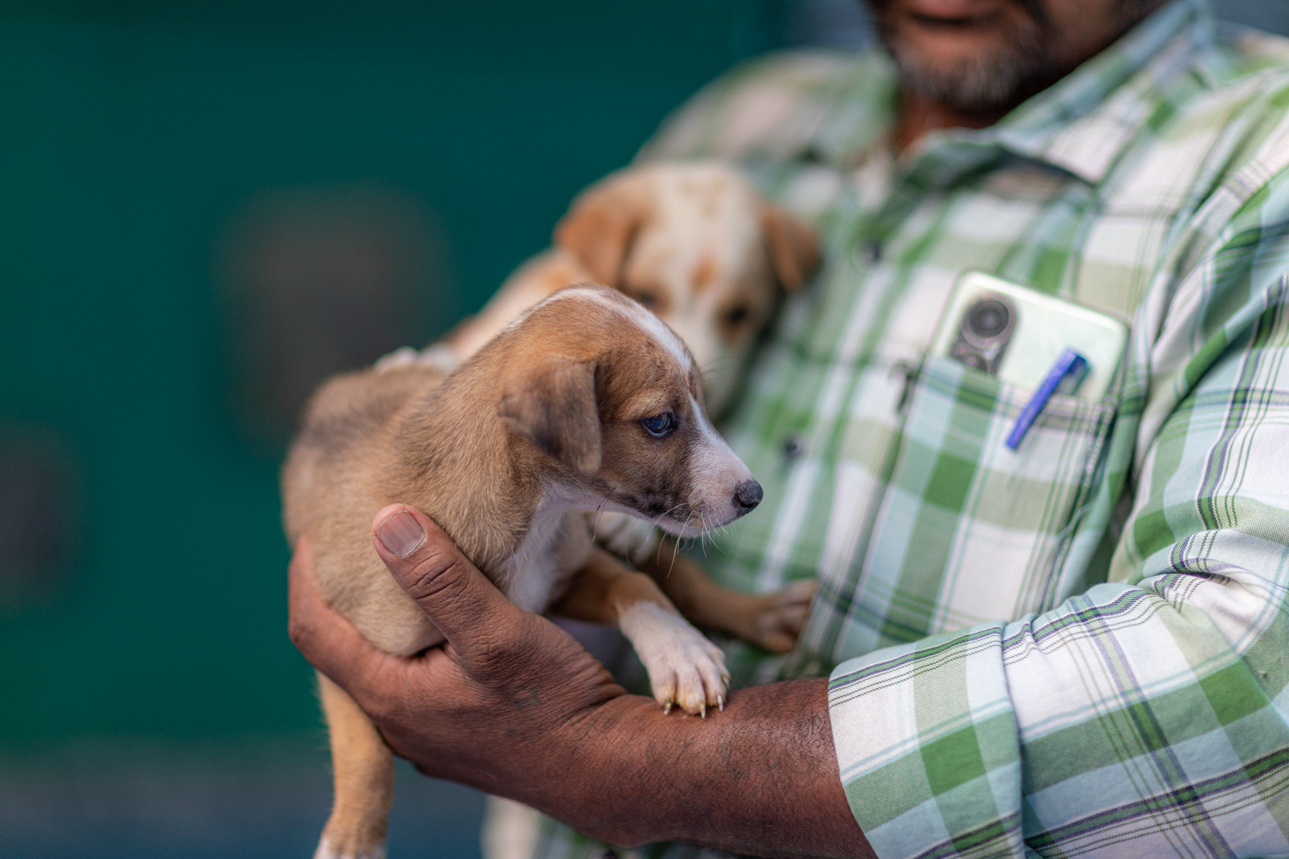 20231231165708 RD4 8212