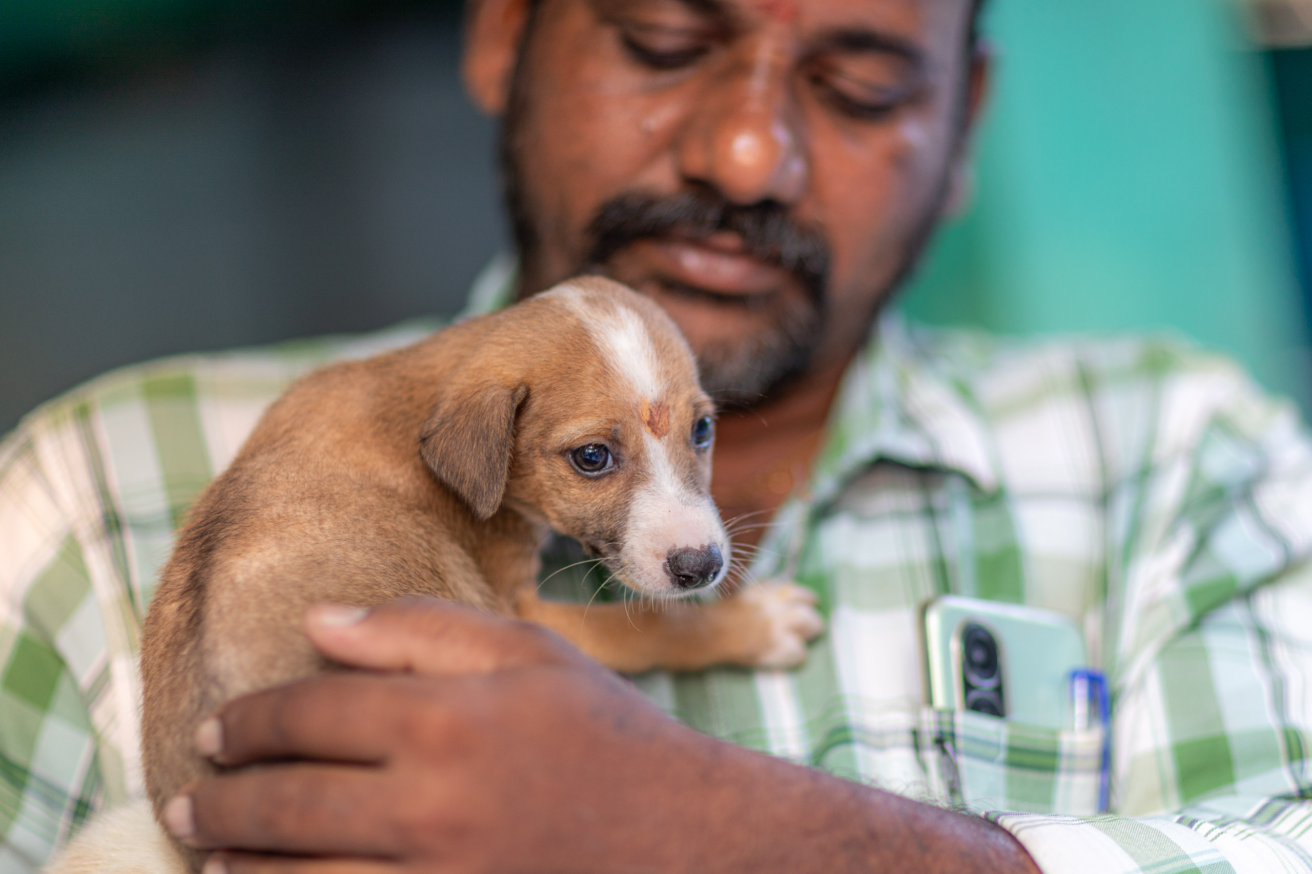 20231231165805 RD4 8249