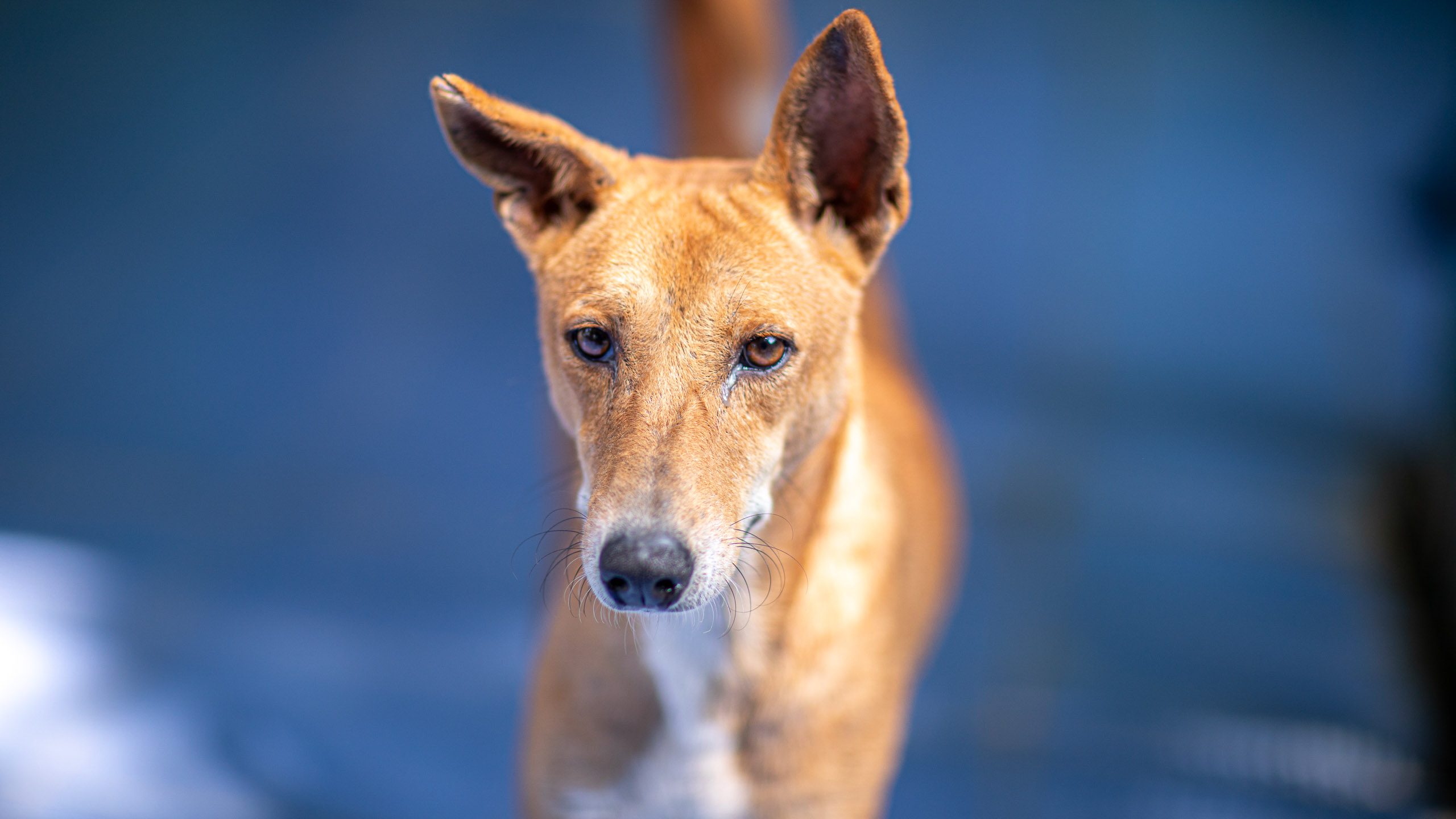 20240101111414 RD4 8290