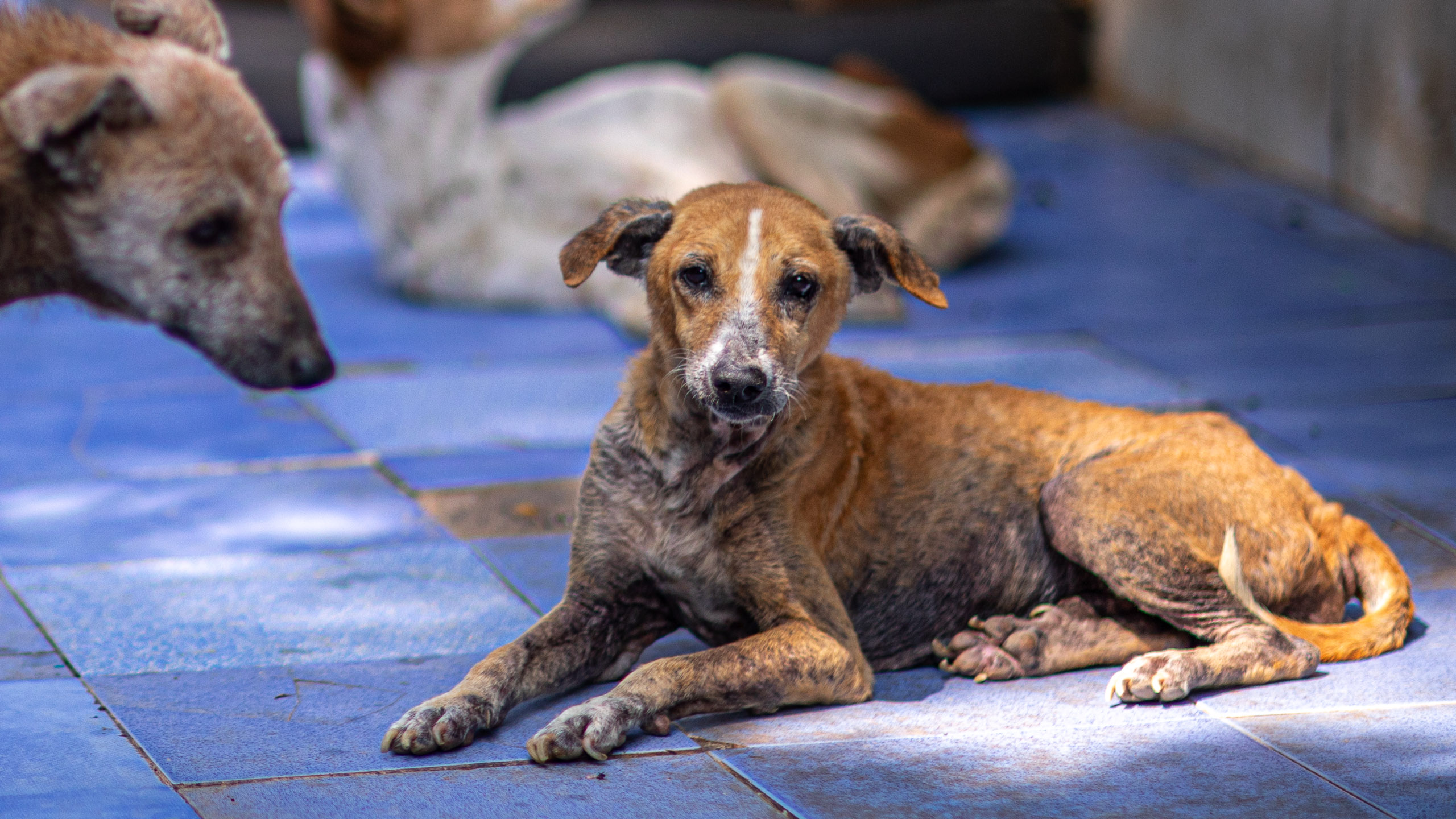 20240101111458 RD4 8300