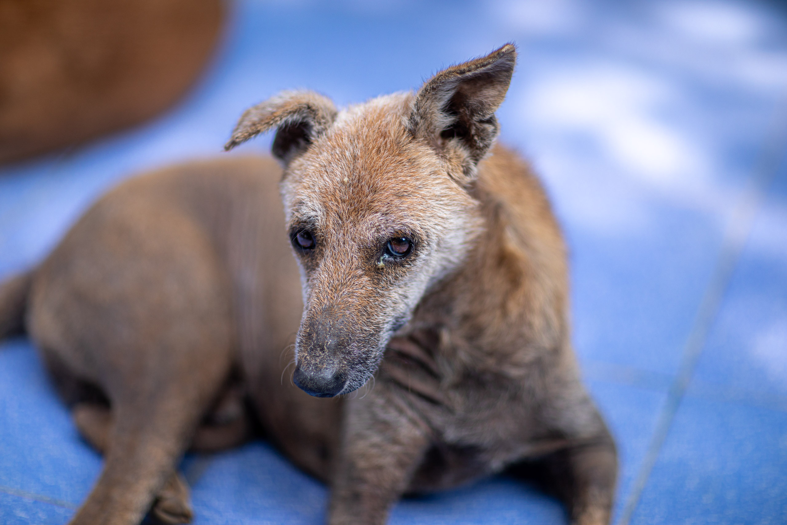 20240101111720 RD4 8350