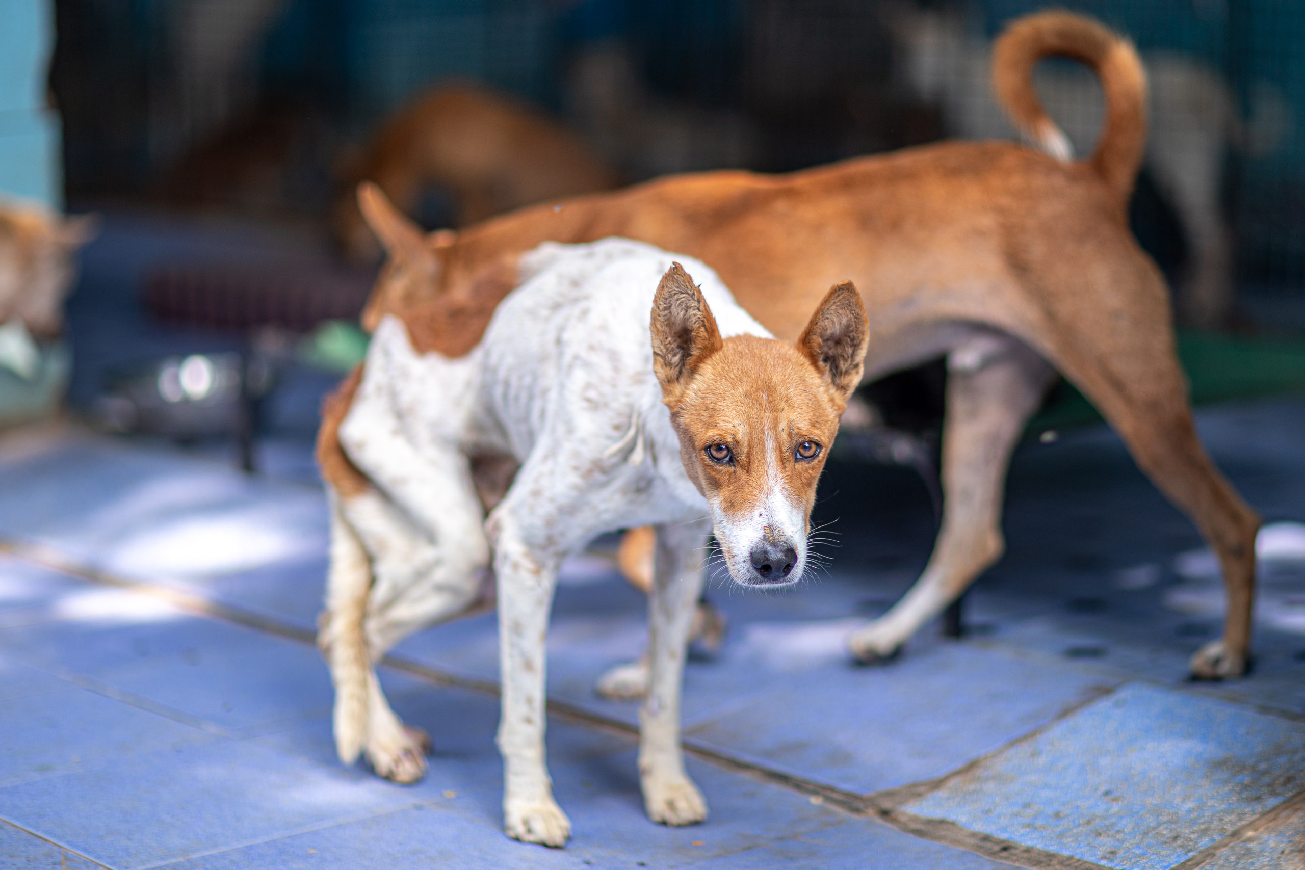 20240101112104 RD4 8451