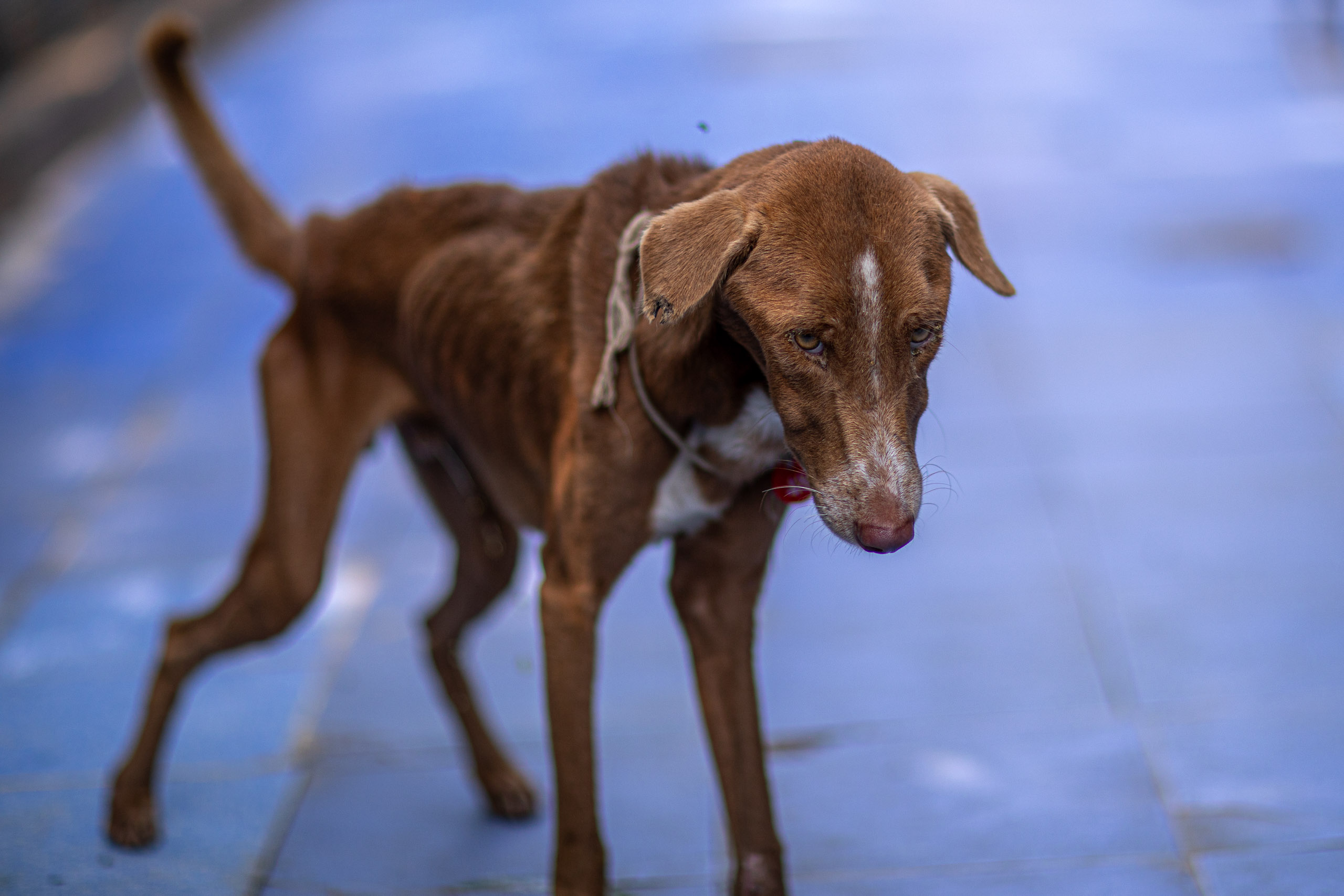 20240101112110 RD4 8455