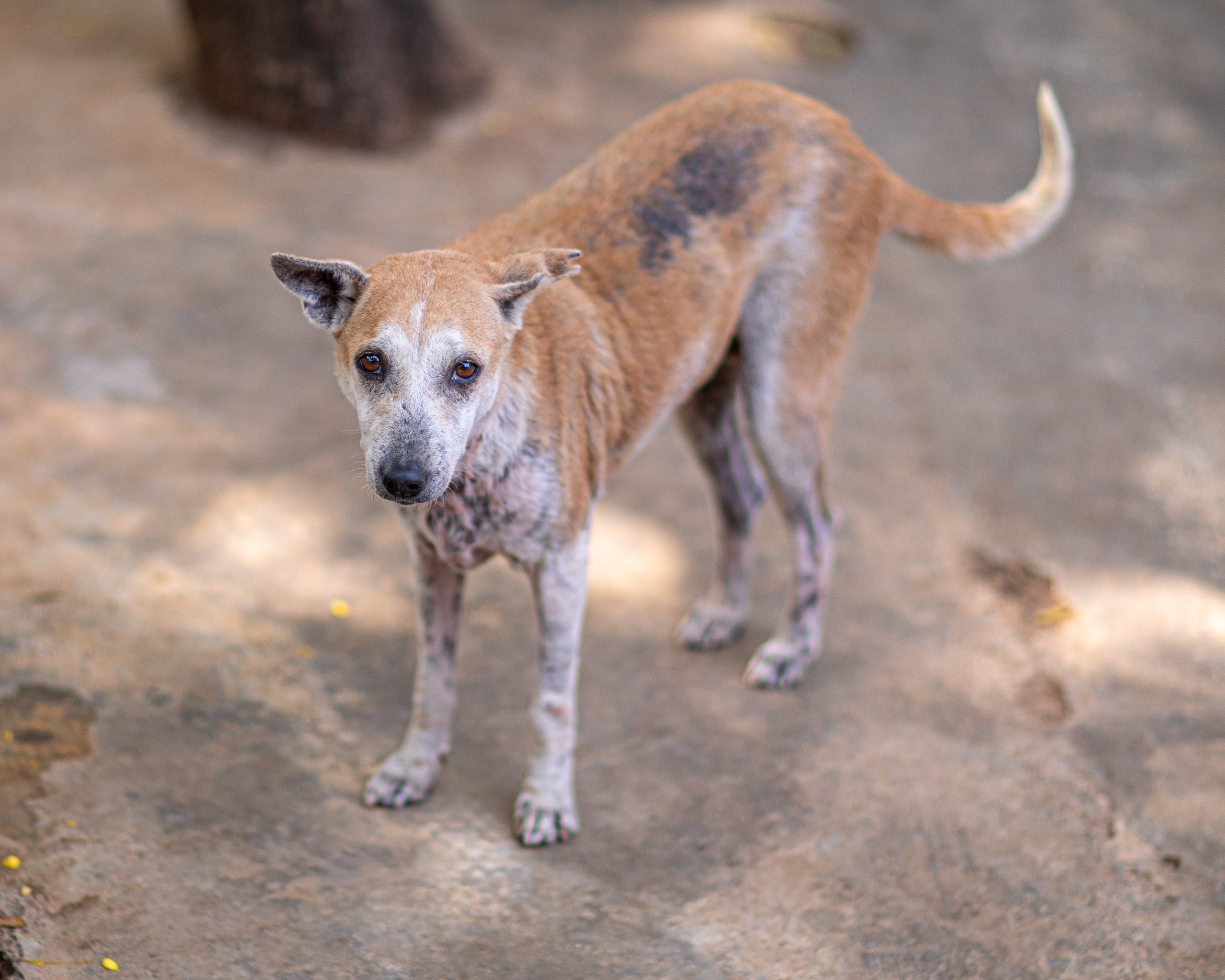 20240101112250 RD4 8474