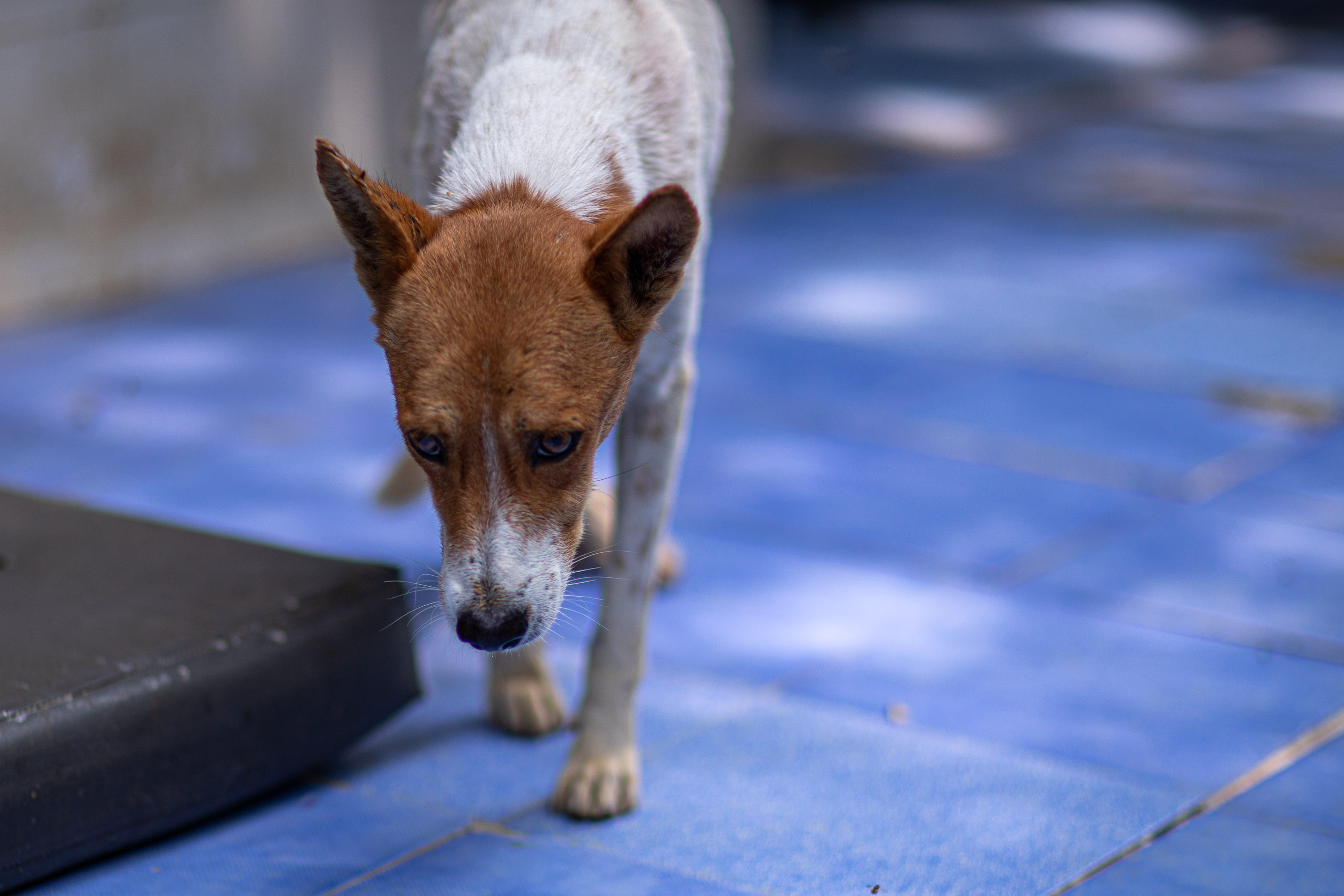 20240101112349 RD4 8493