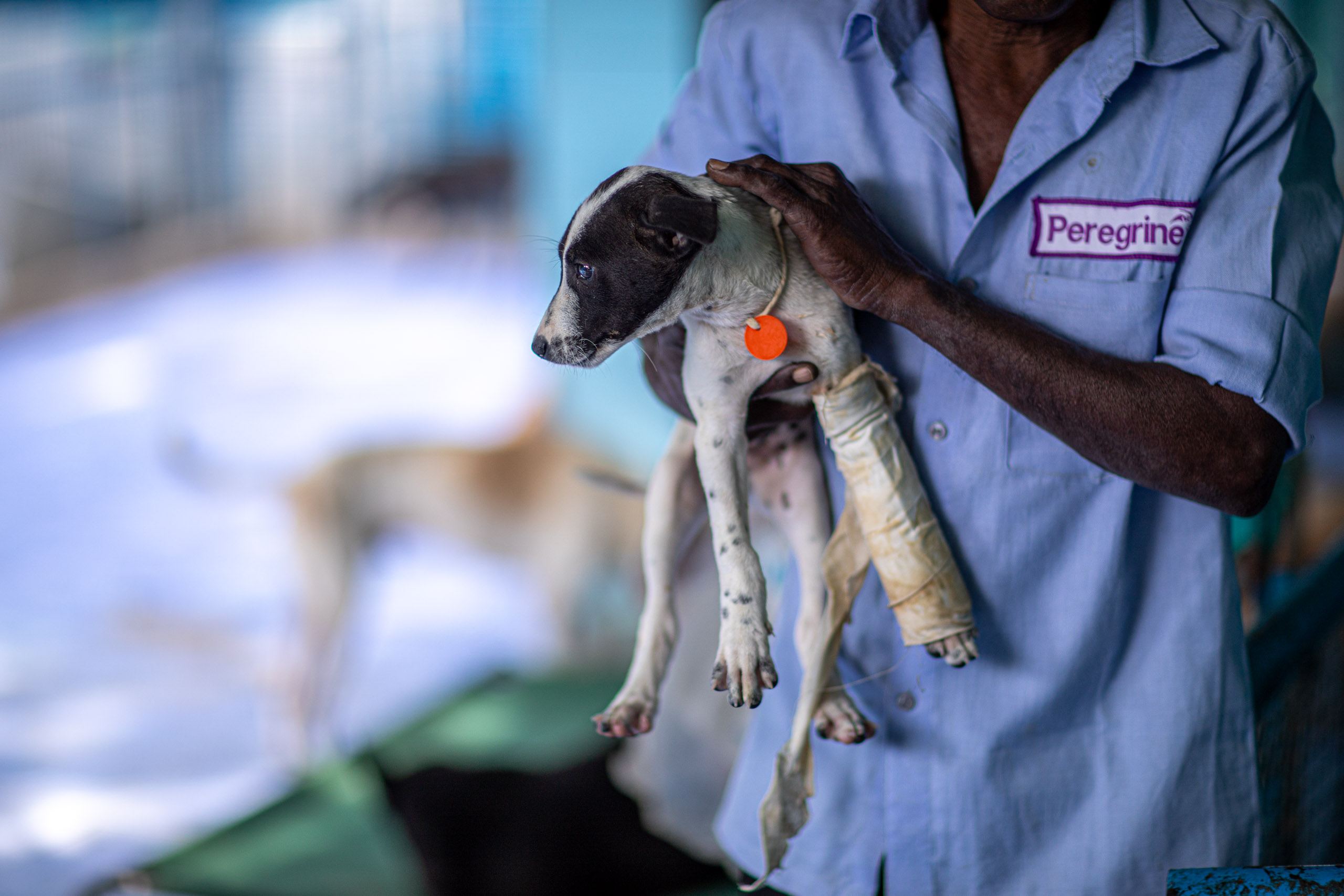 20240101112554 RD4 8507