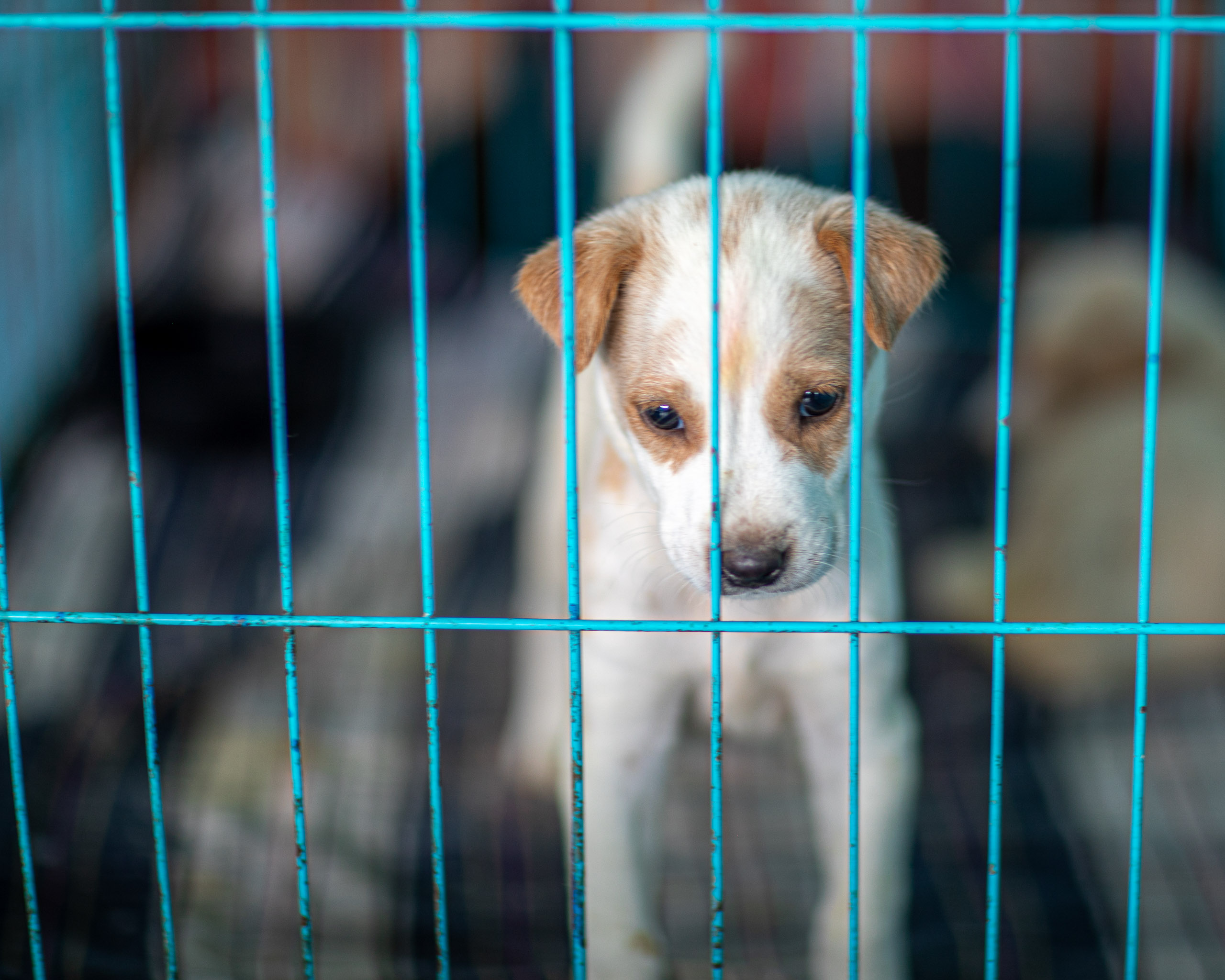 20240101112628 RD4 8523