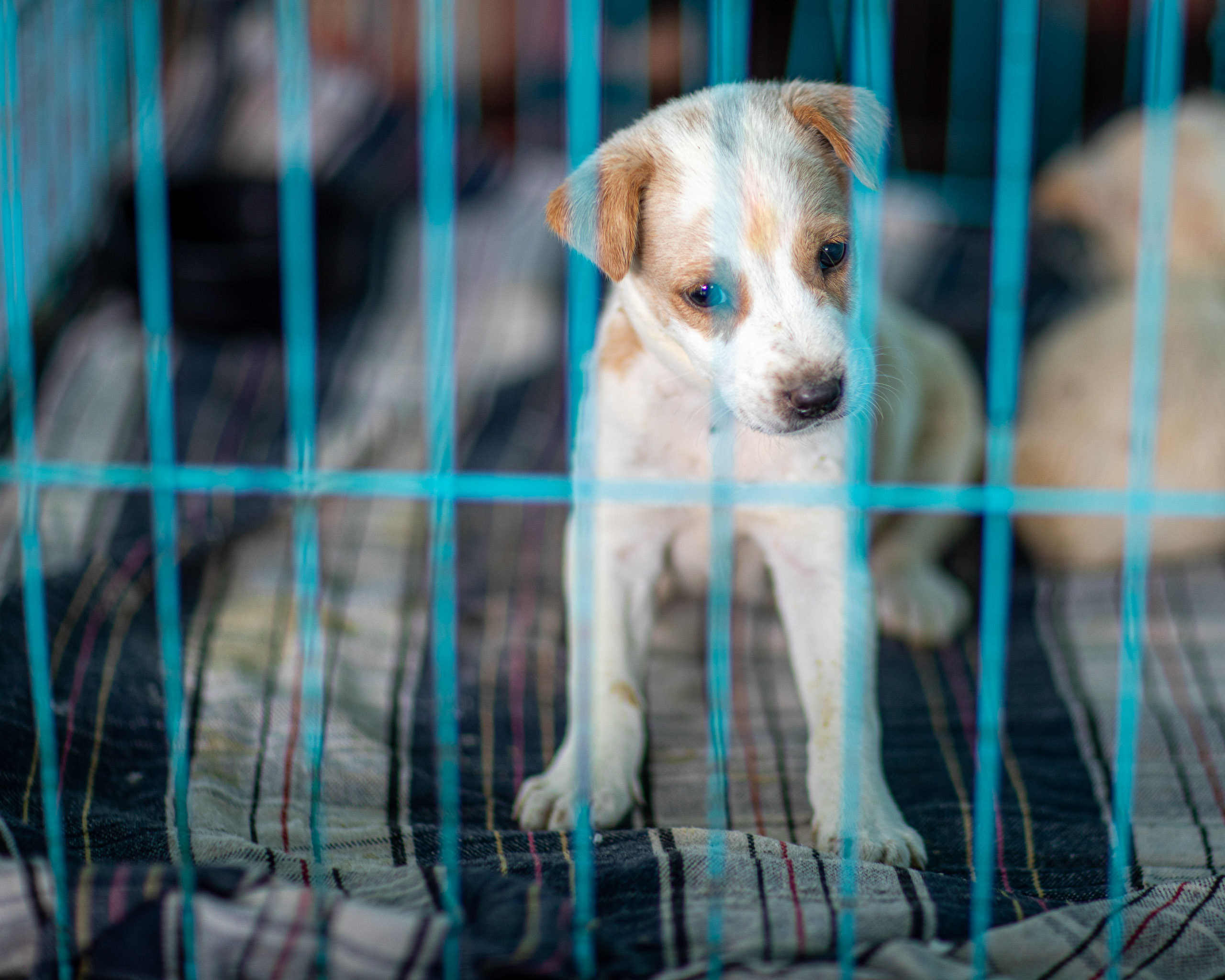 20240101112631 RD4 8529