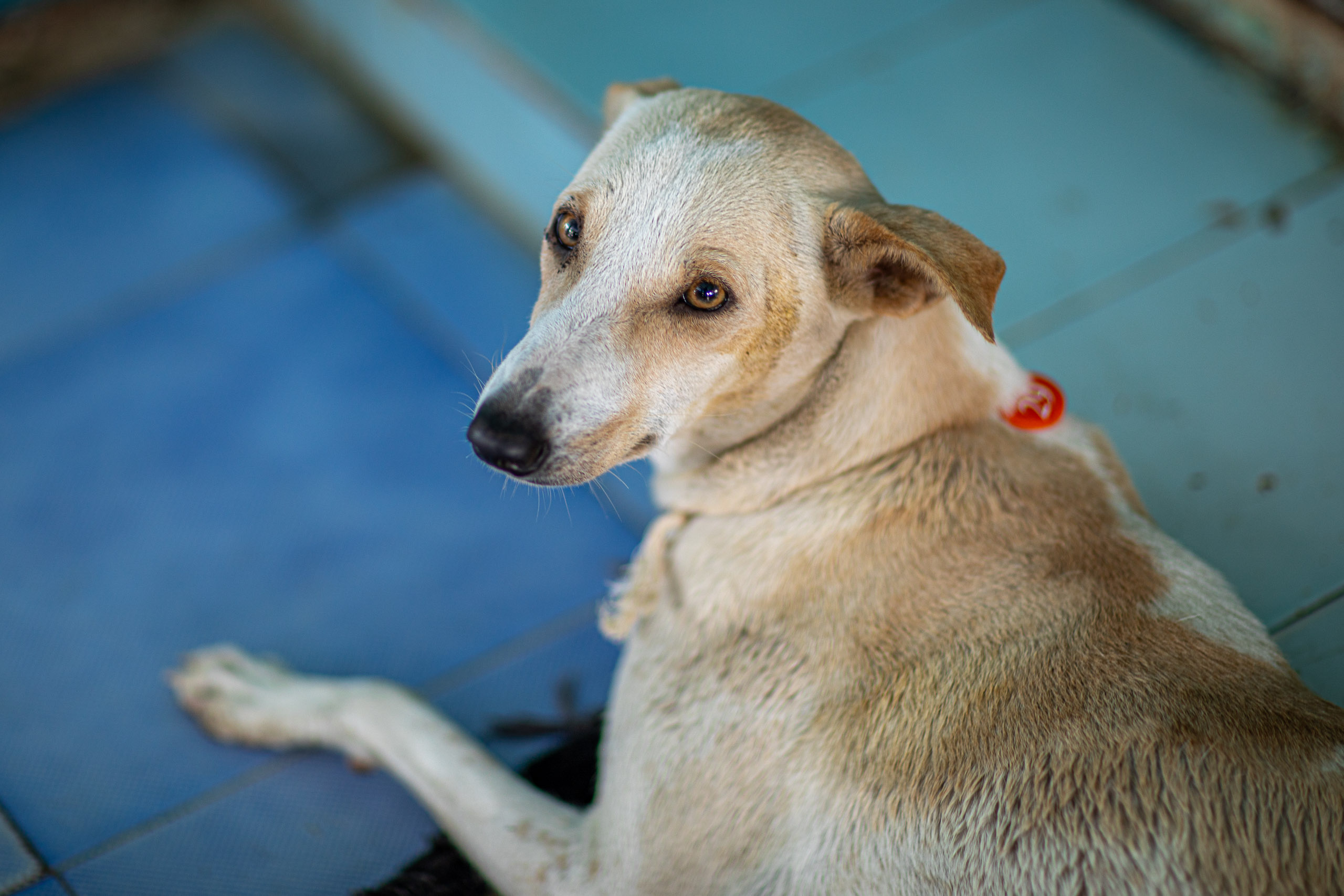 20240101112728 RD4 8552