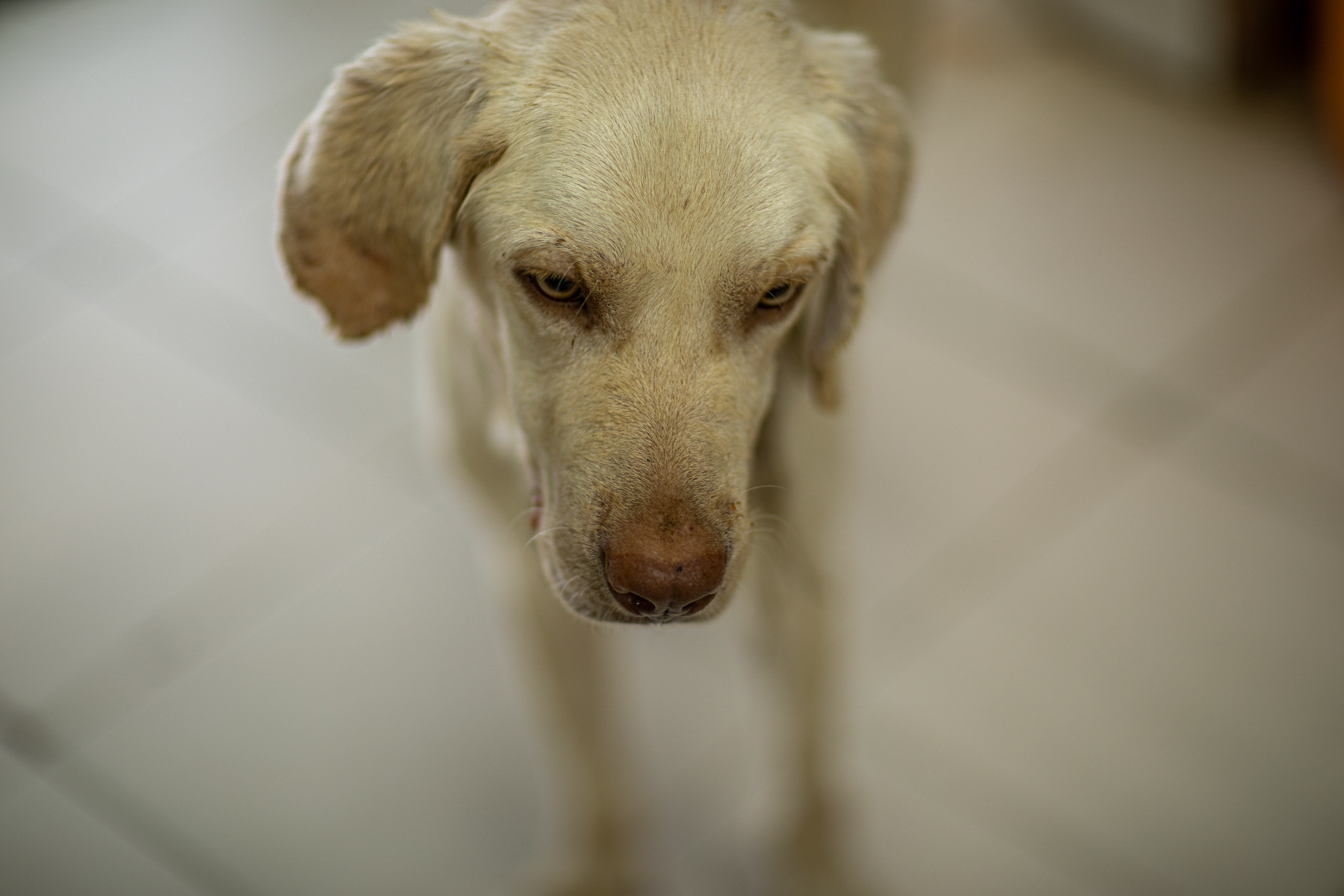 20240101112856 RD4 8586