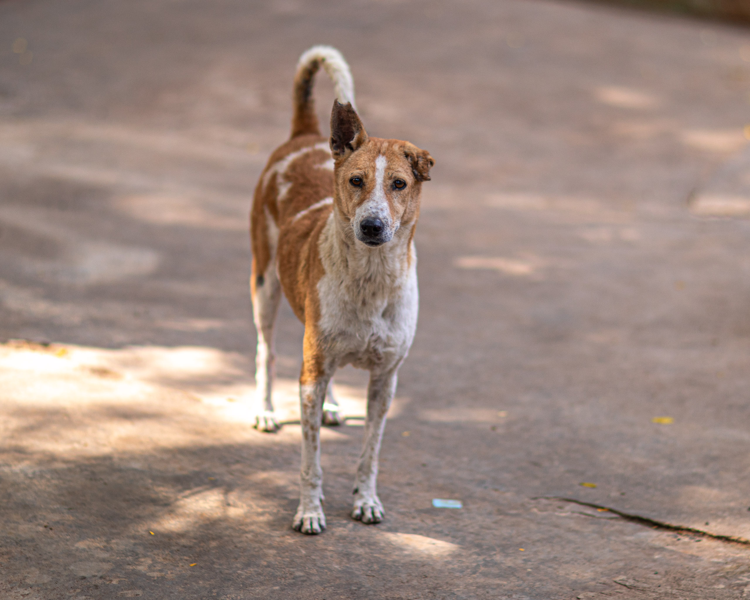 20240101113311 RD4 8617