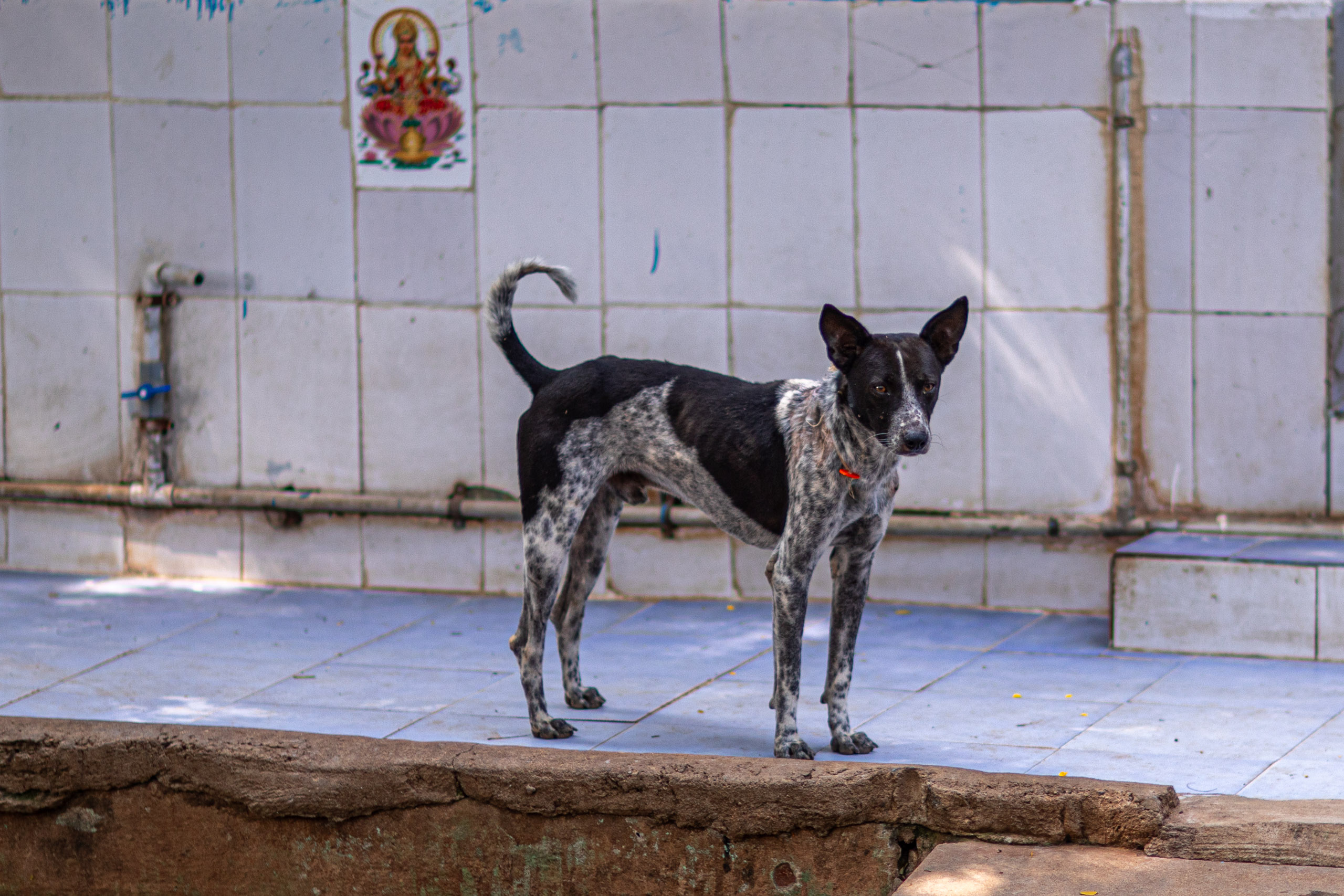 20240101113314 RD4 8620