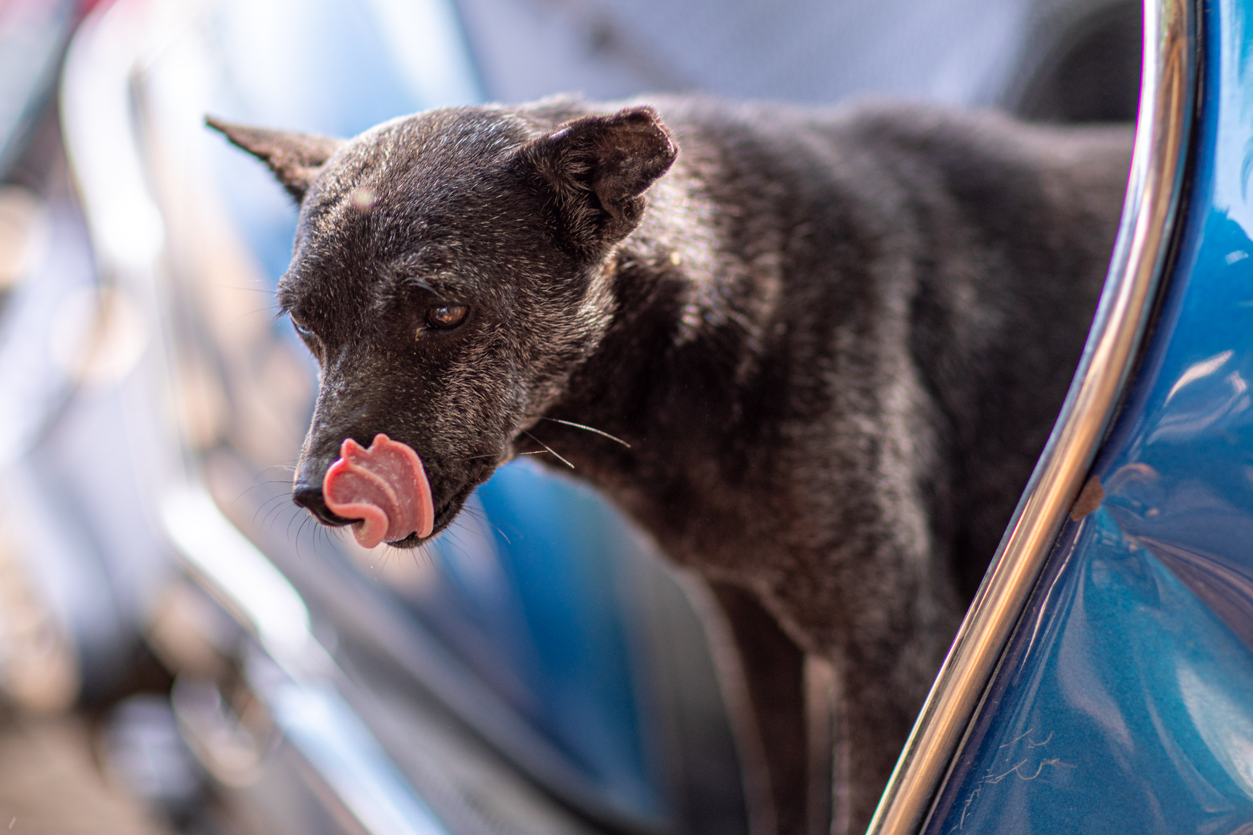 20240101113735 RD4 8647