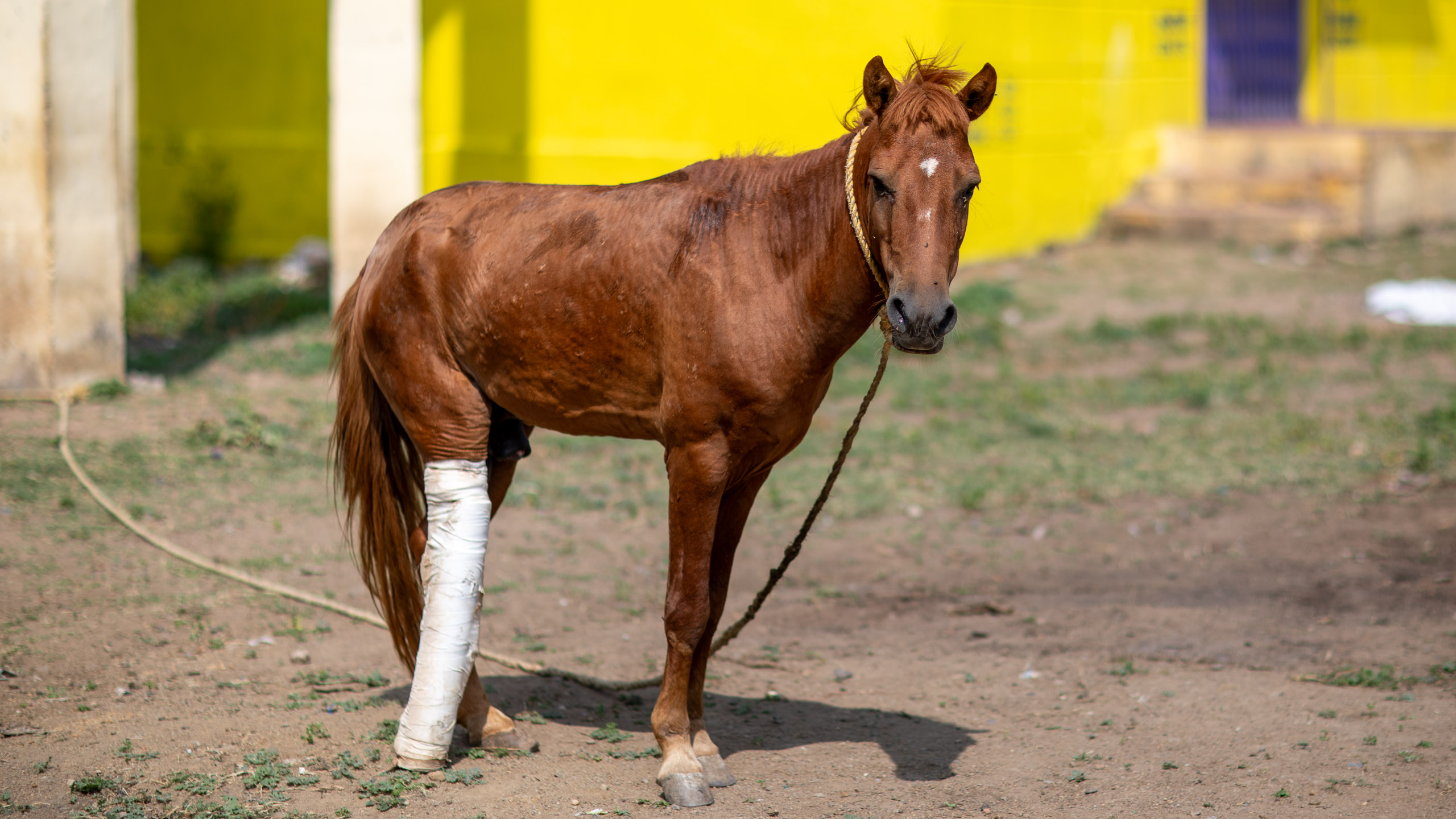 20240101113804 RD4 8658