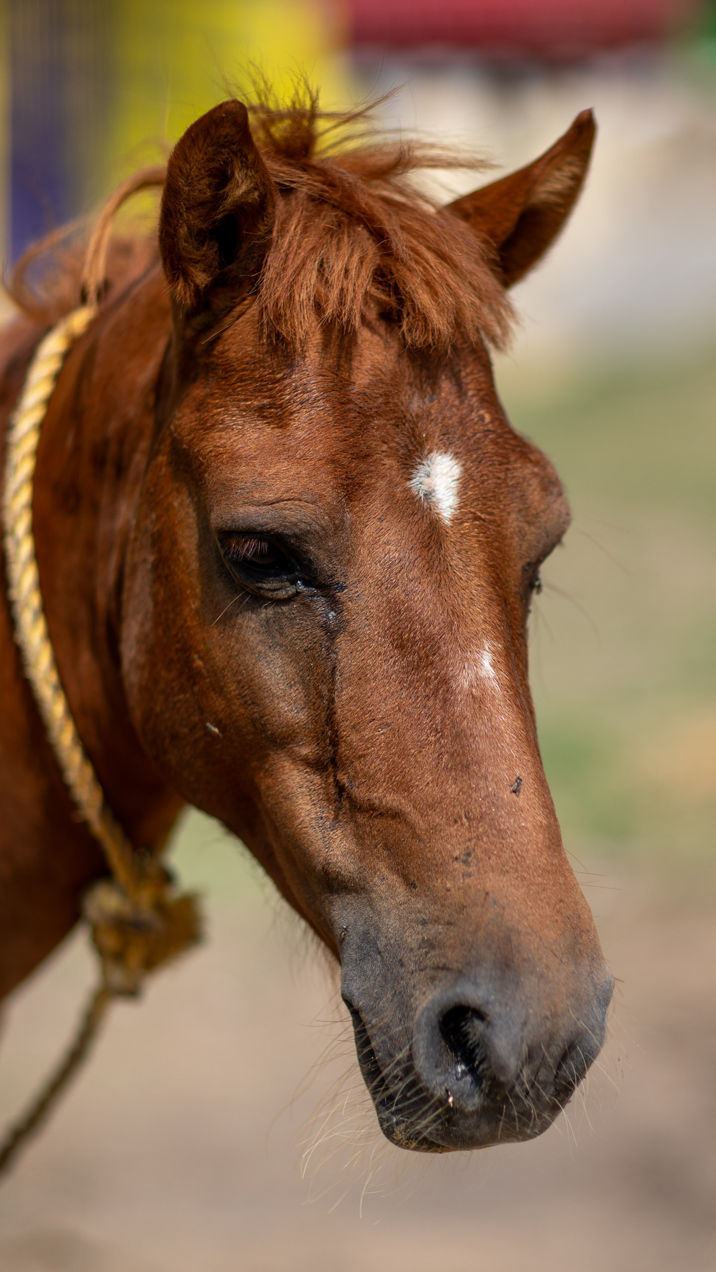 20240101113812 RD4 8662