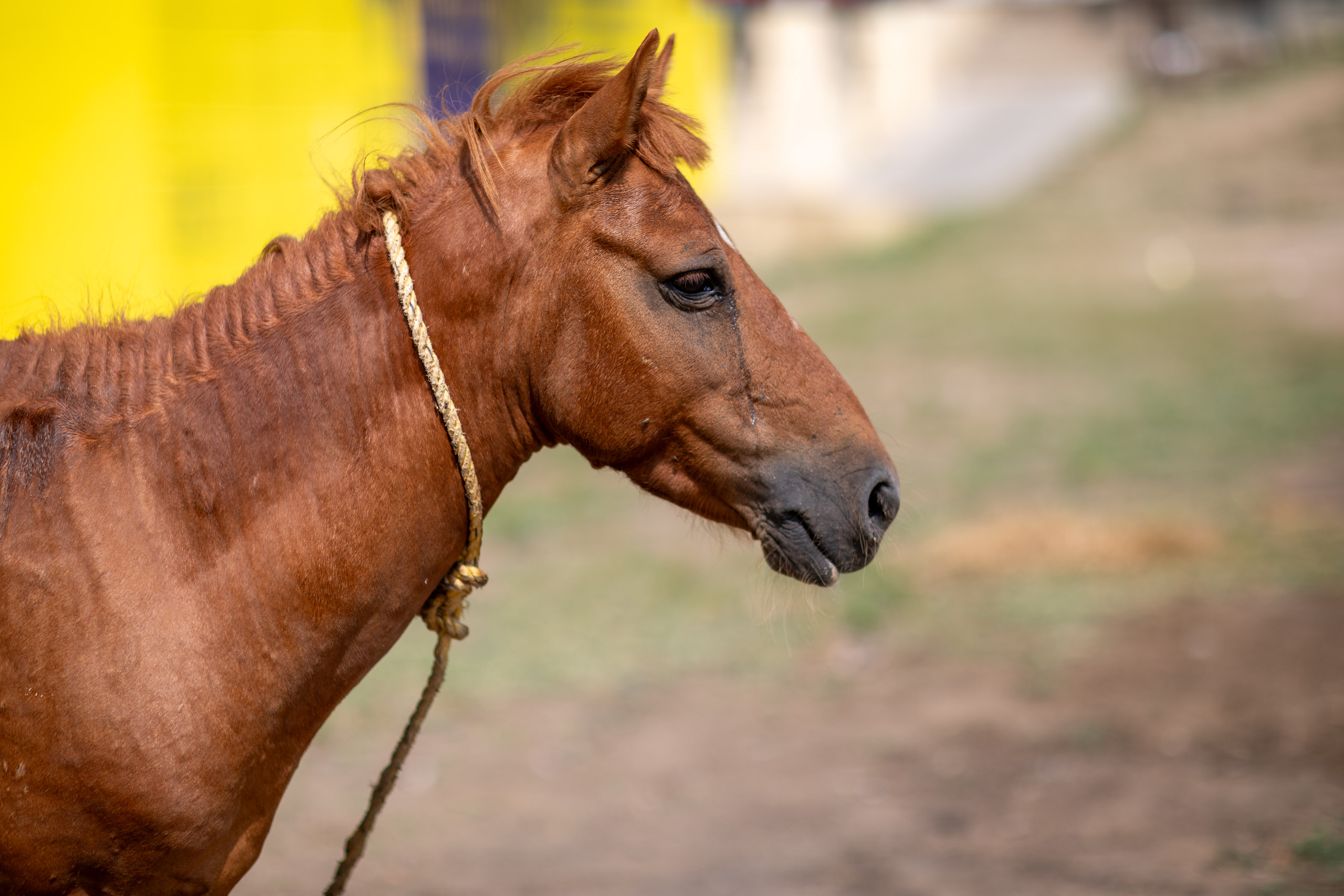 20240101113829 RD4 8681