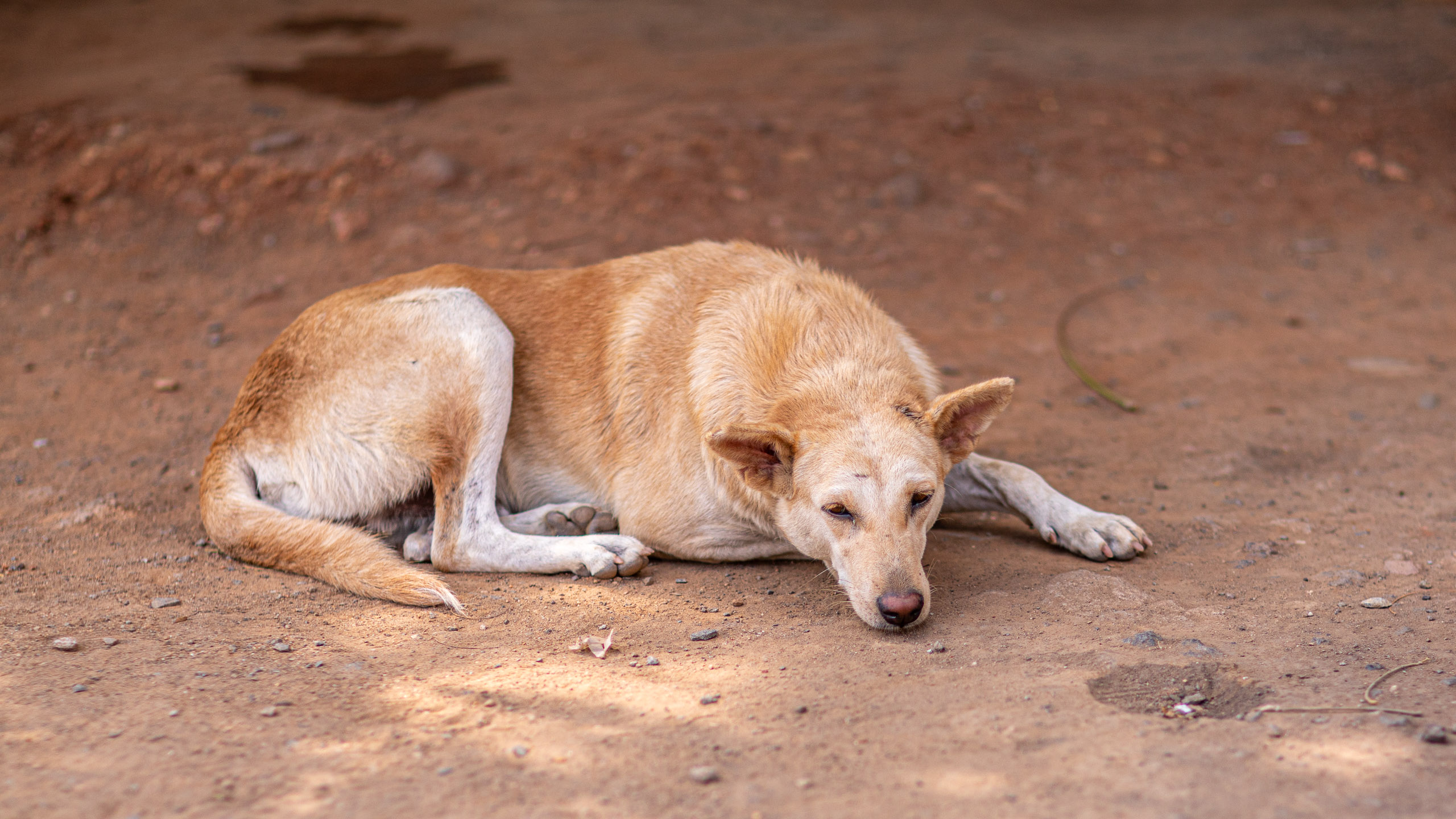 20240101113840 RD4 8682