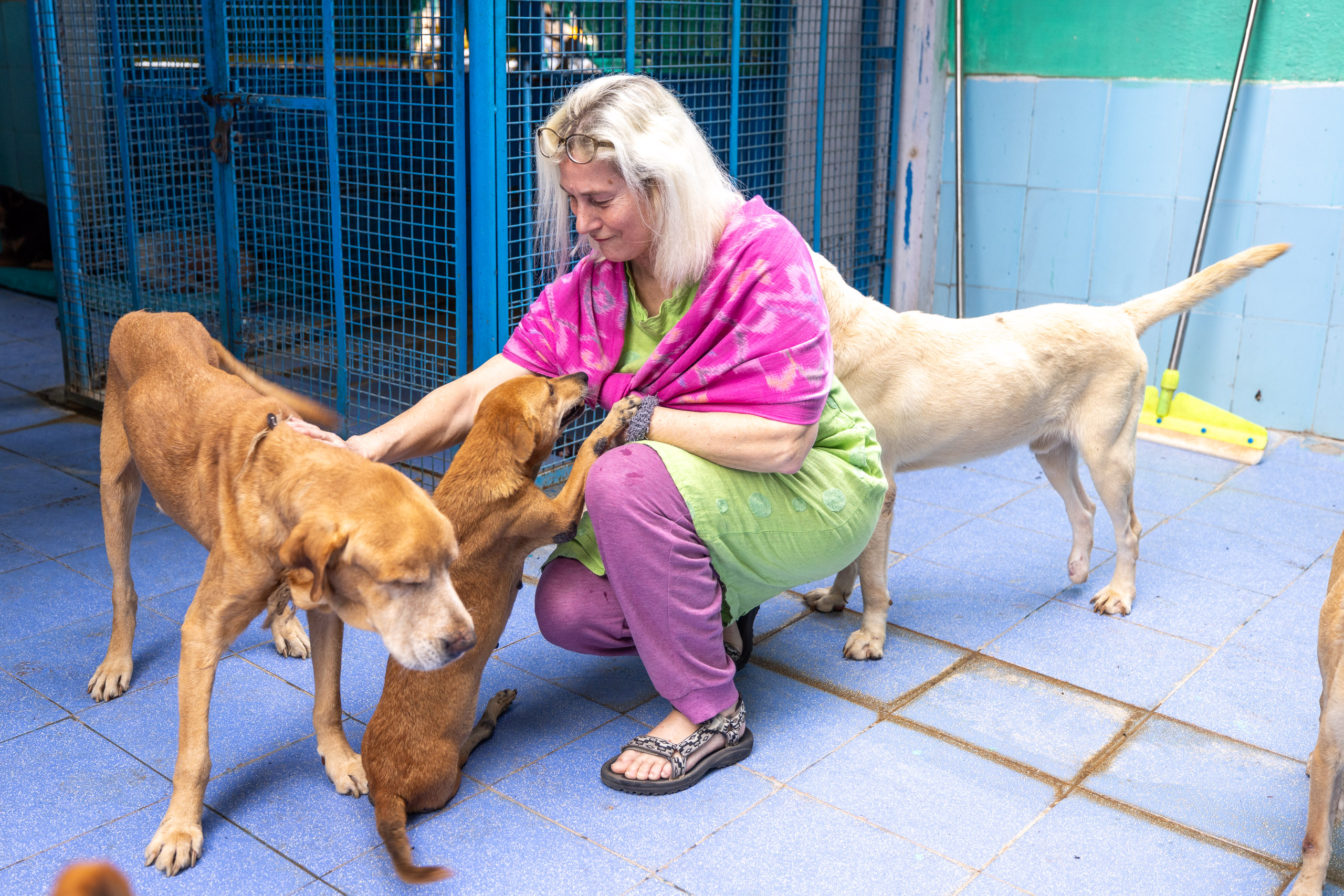 20240120162017 R5D 3692