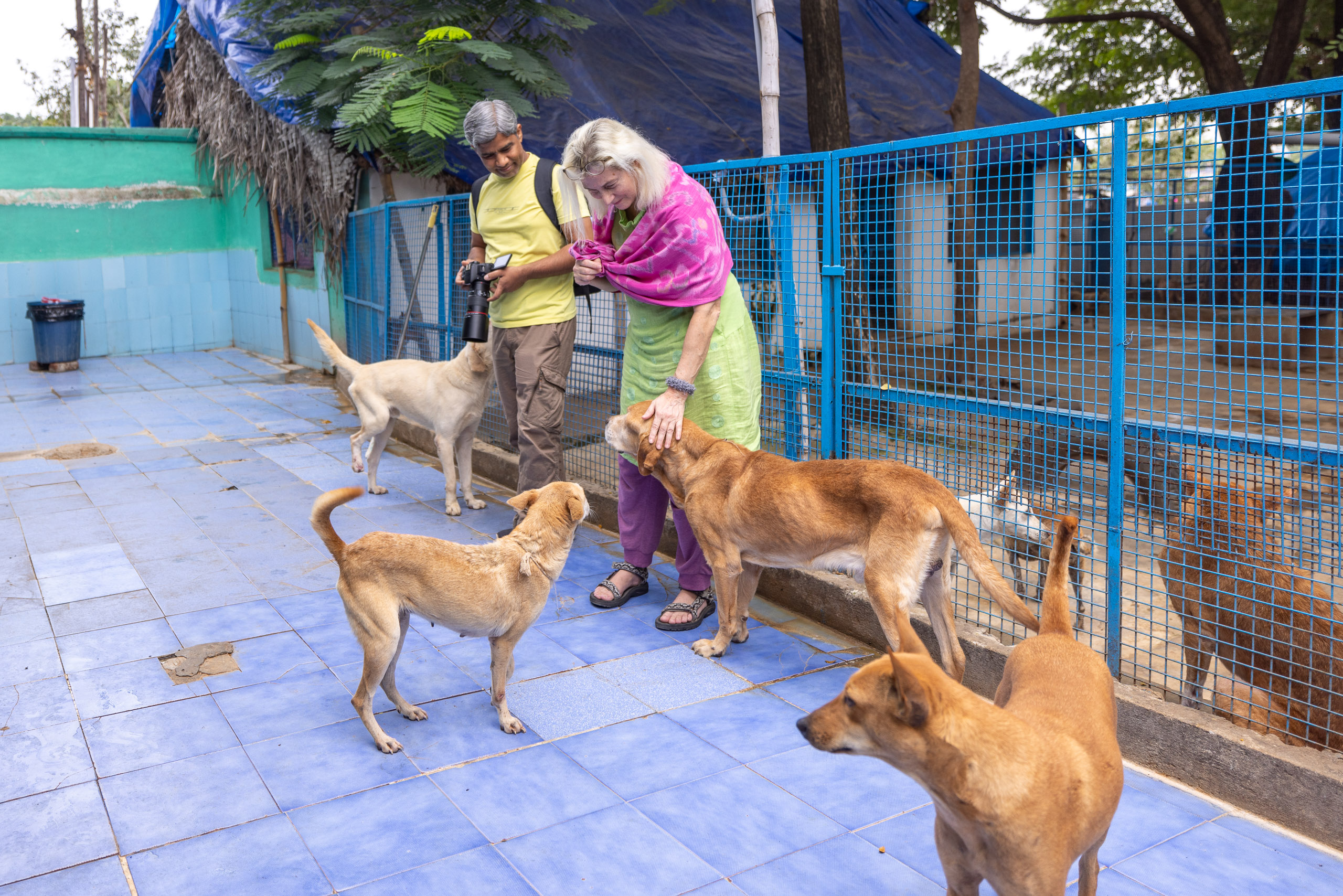 20240120162245 R5D 3700