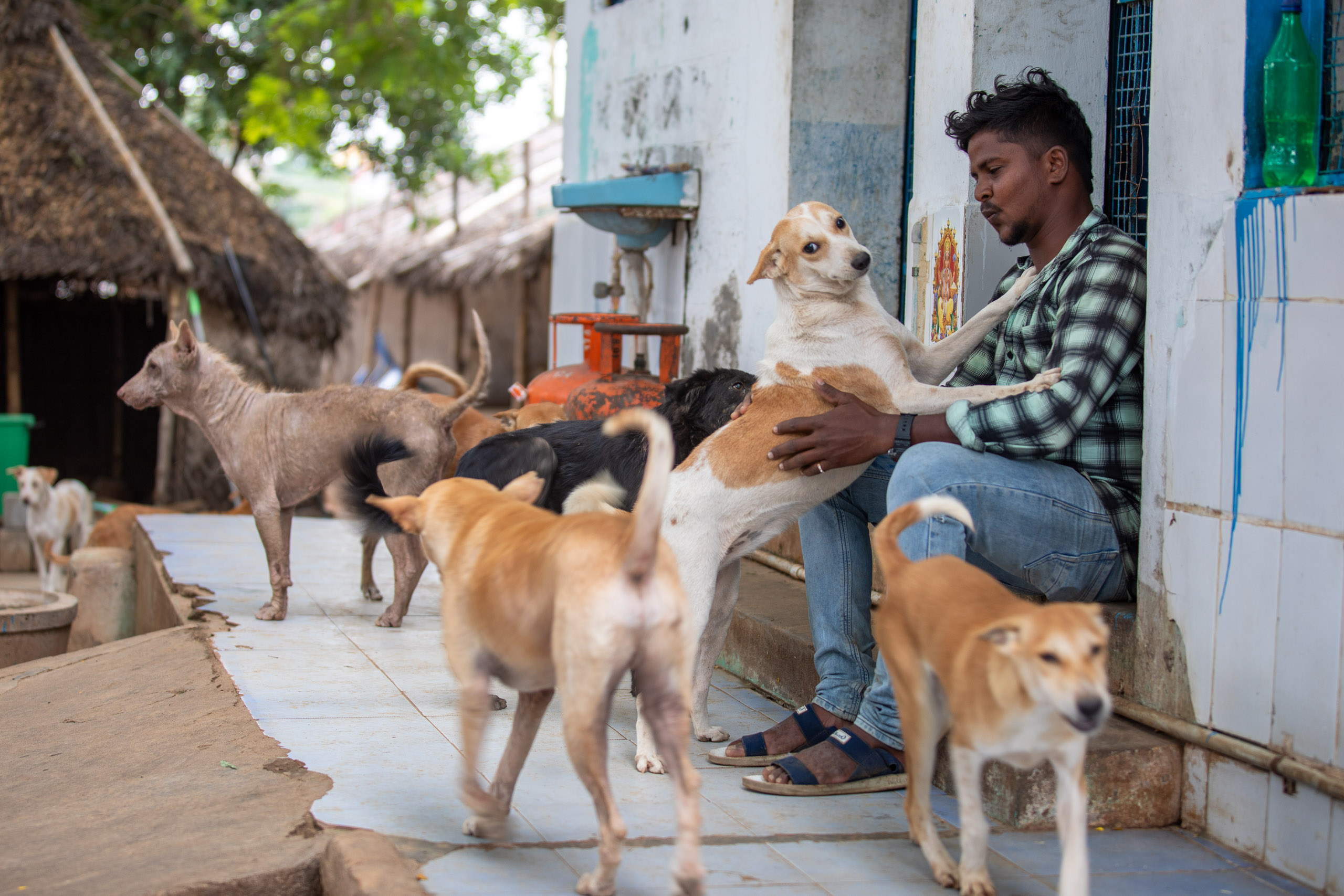 20240120162512 RD4 1319