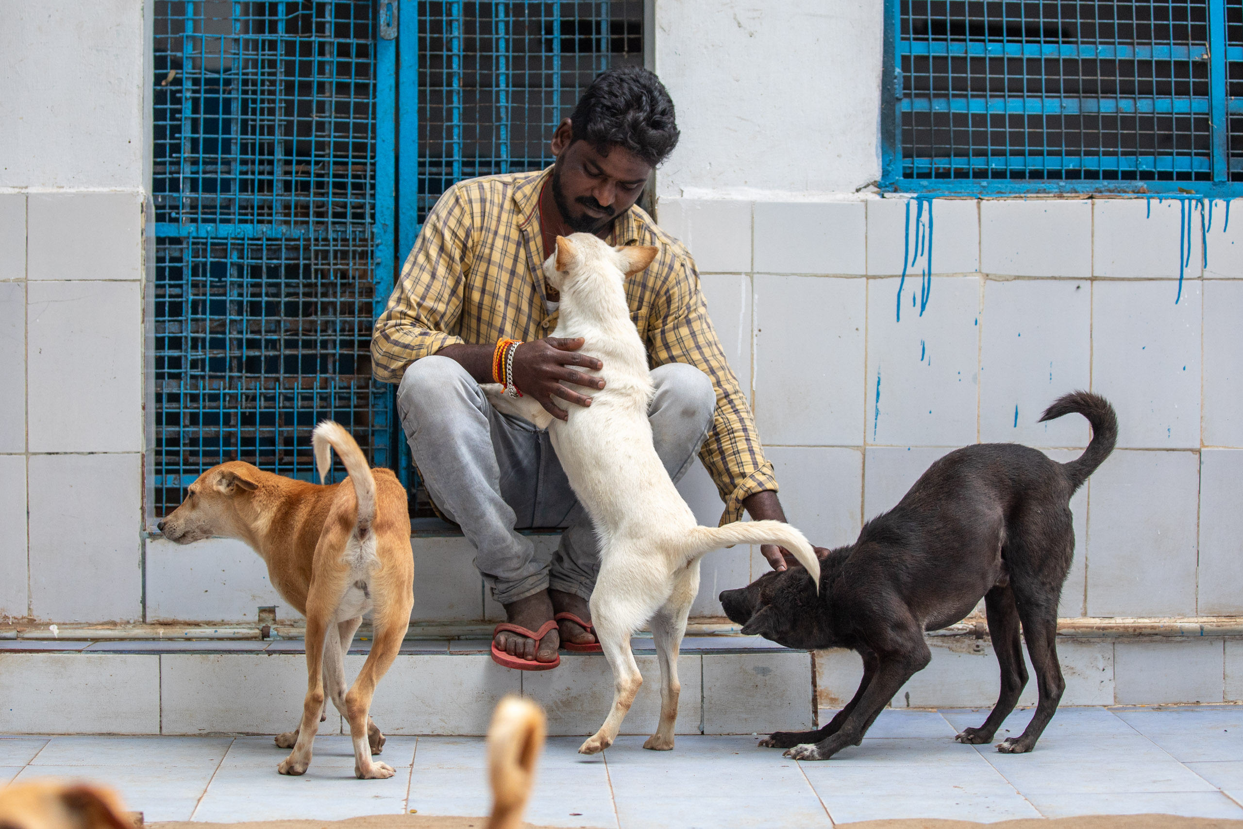 20240120162718 RD4 1373