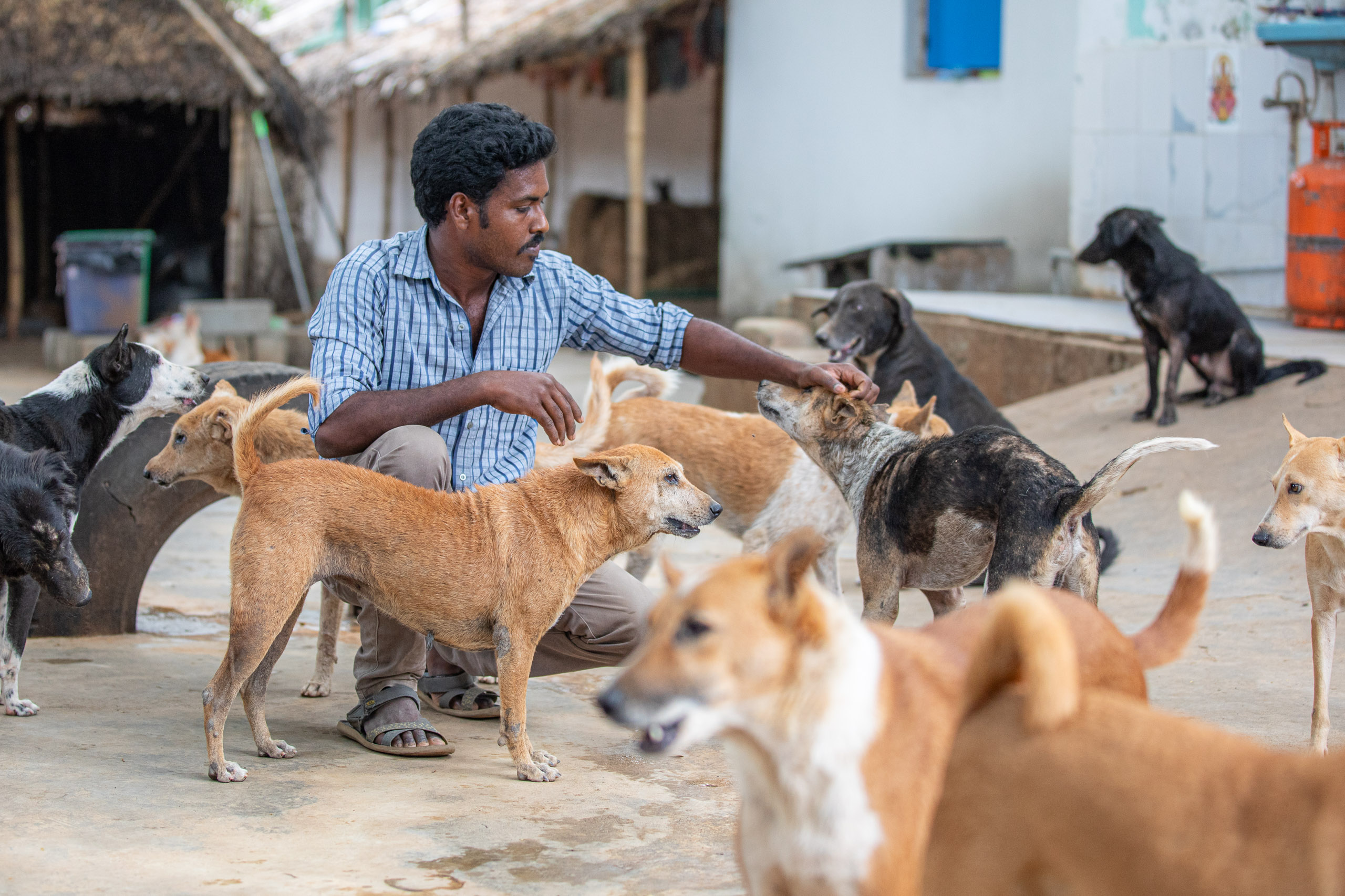 20240120162903 RD4 1425