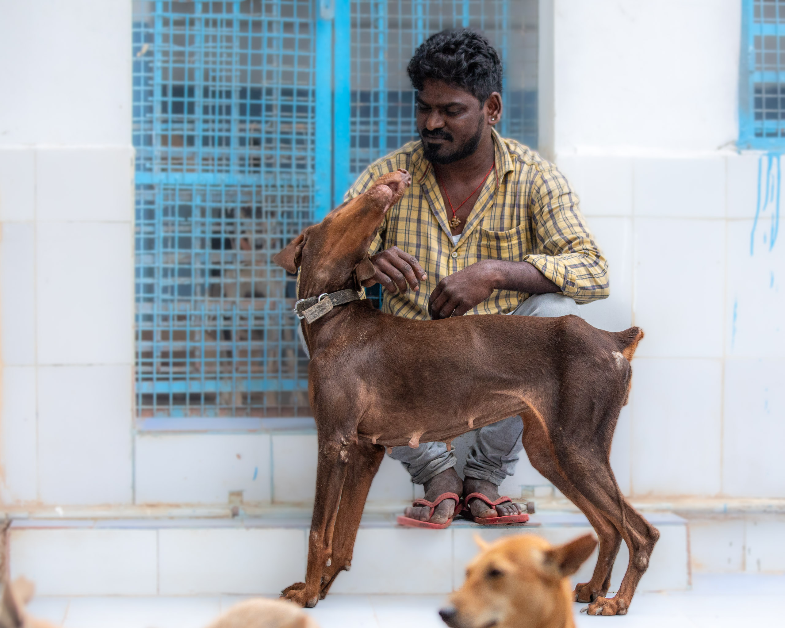 20240120163004 RD4 1455