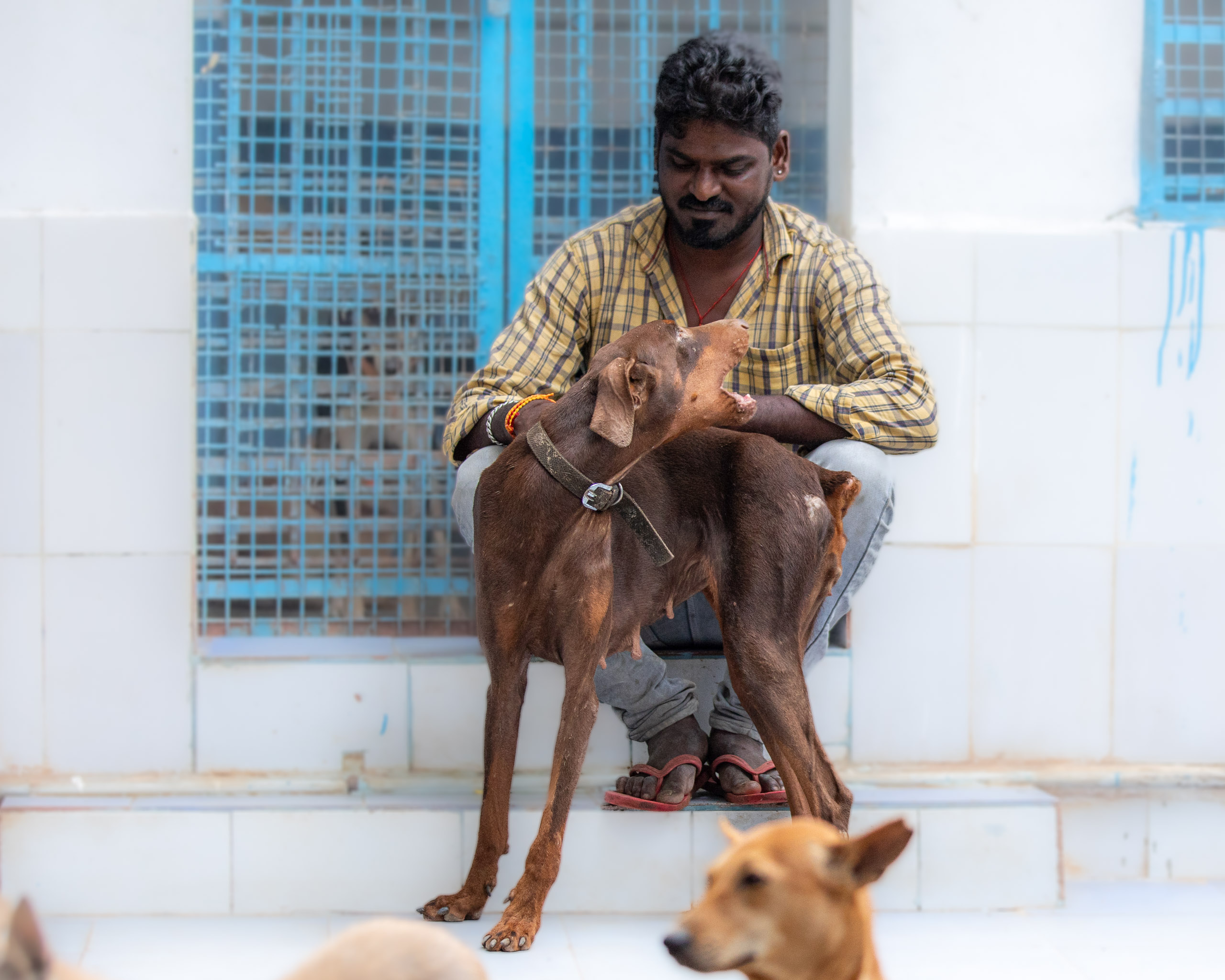 20240120163005 RD4 1458