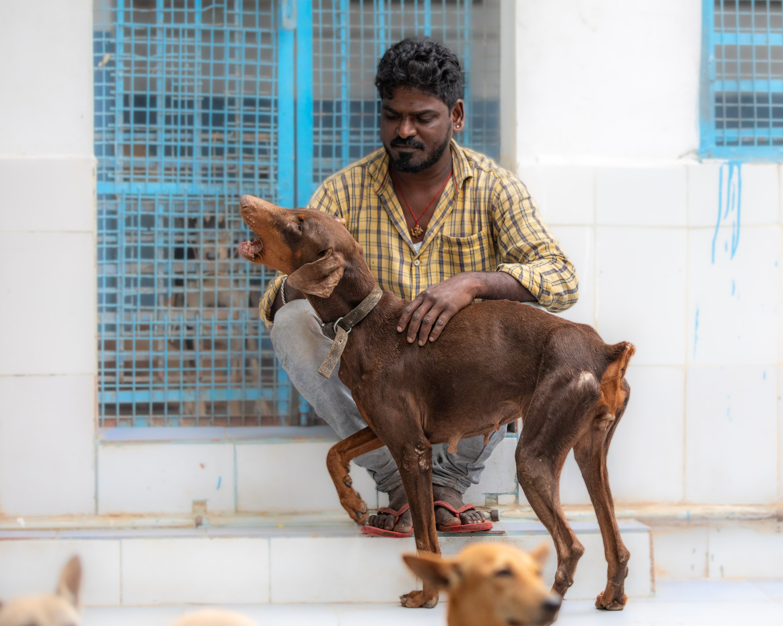 20240120163010 RD4 1466