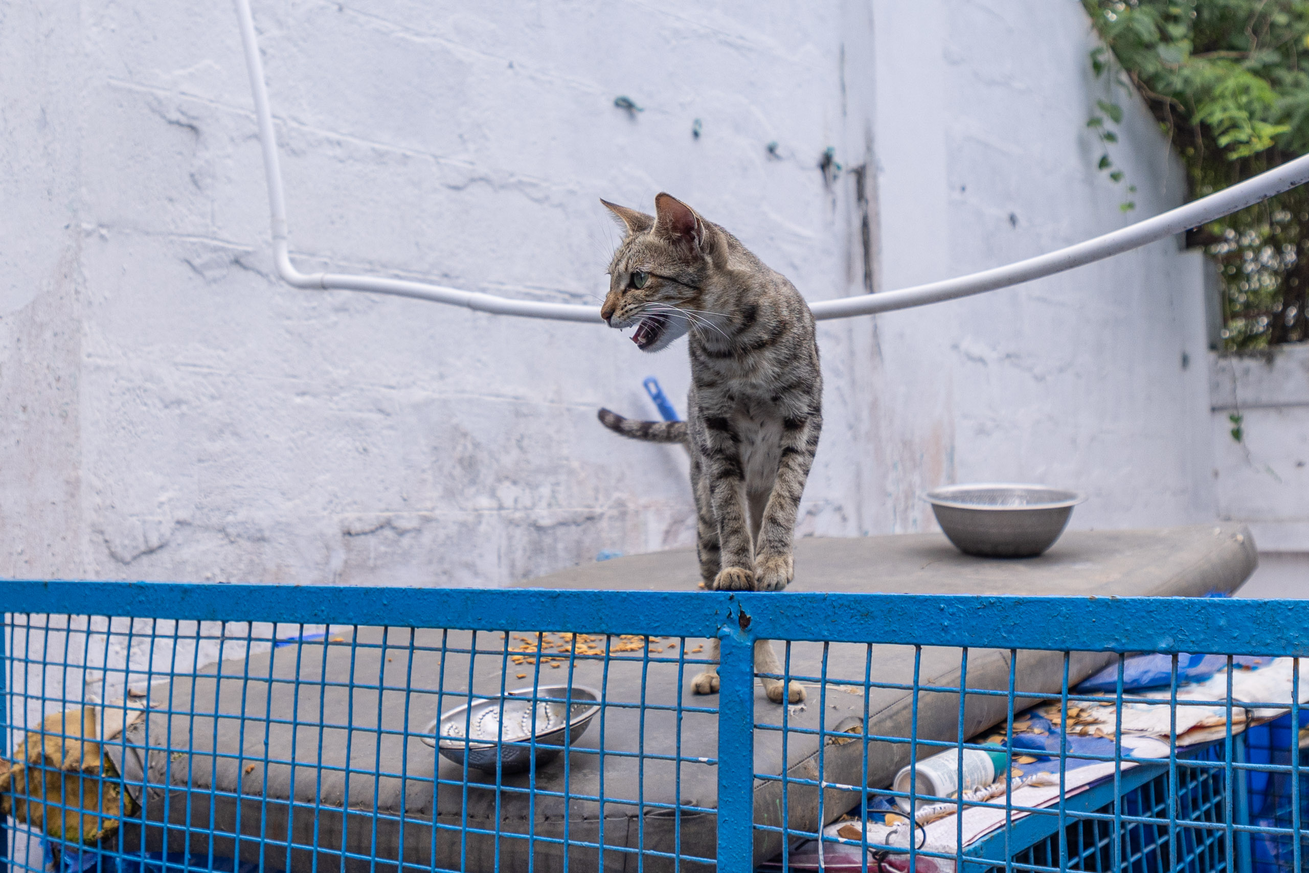 20240120163818 R5D 3720