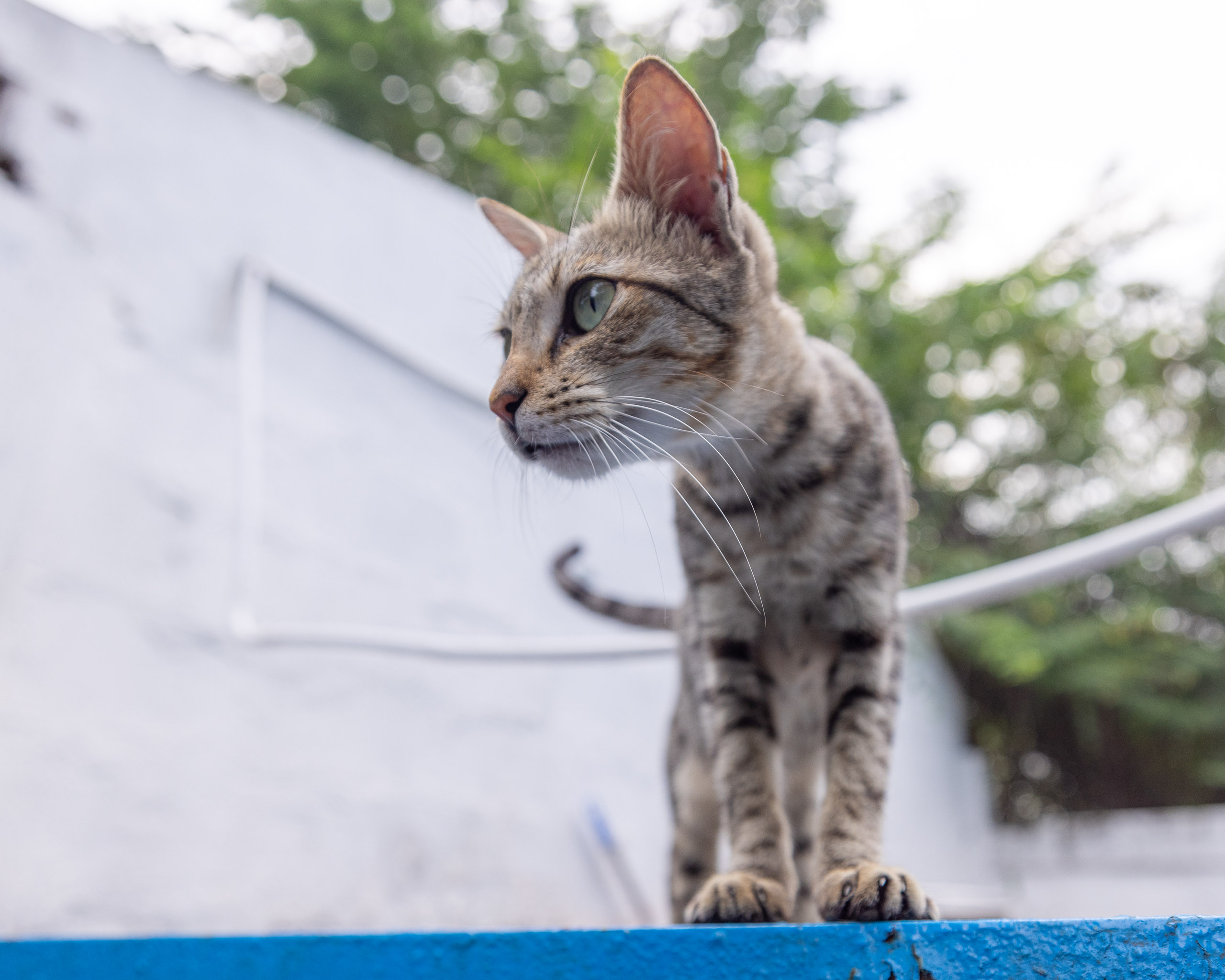 20240120163918 R5D 3734