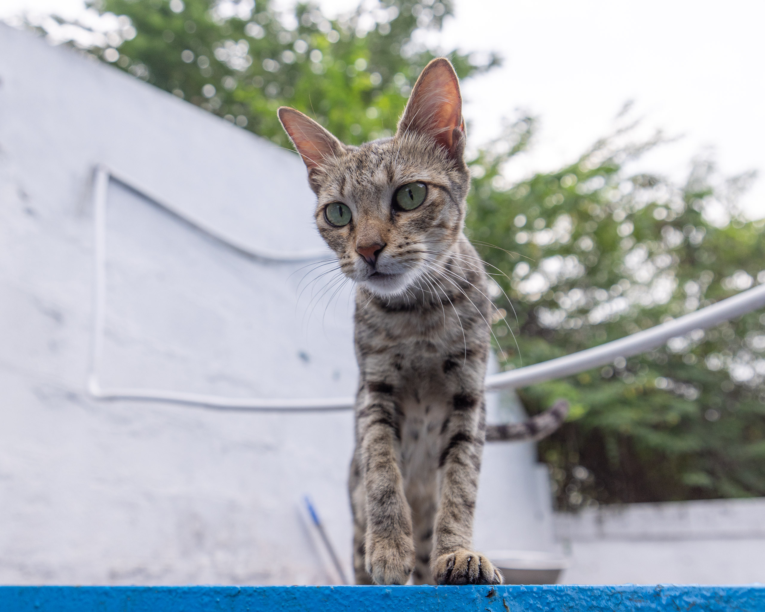 20240120163919 R5D 3736