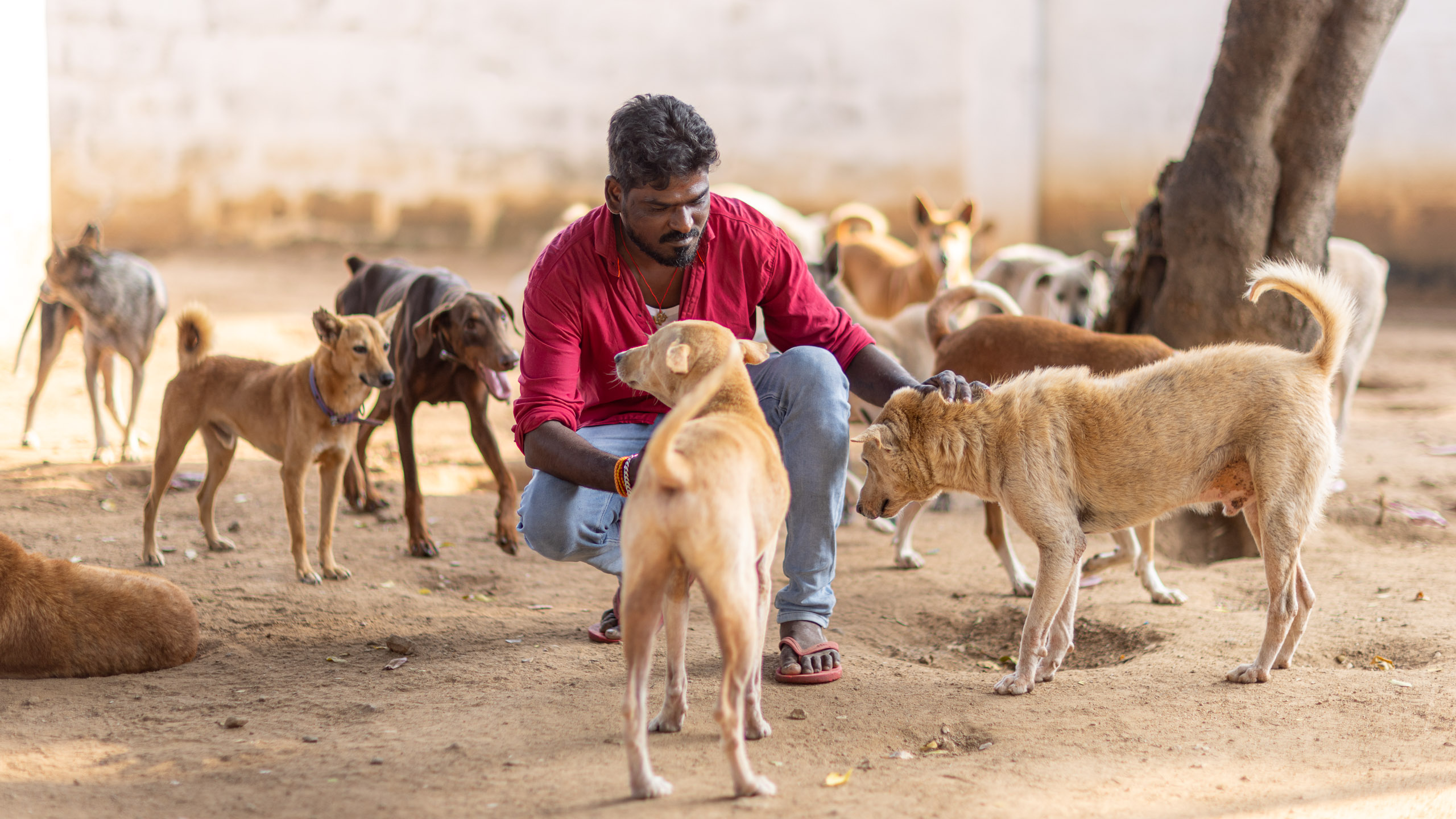 20240121161044 R5D 3914