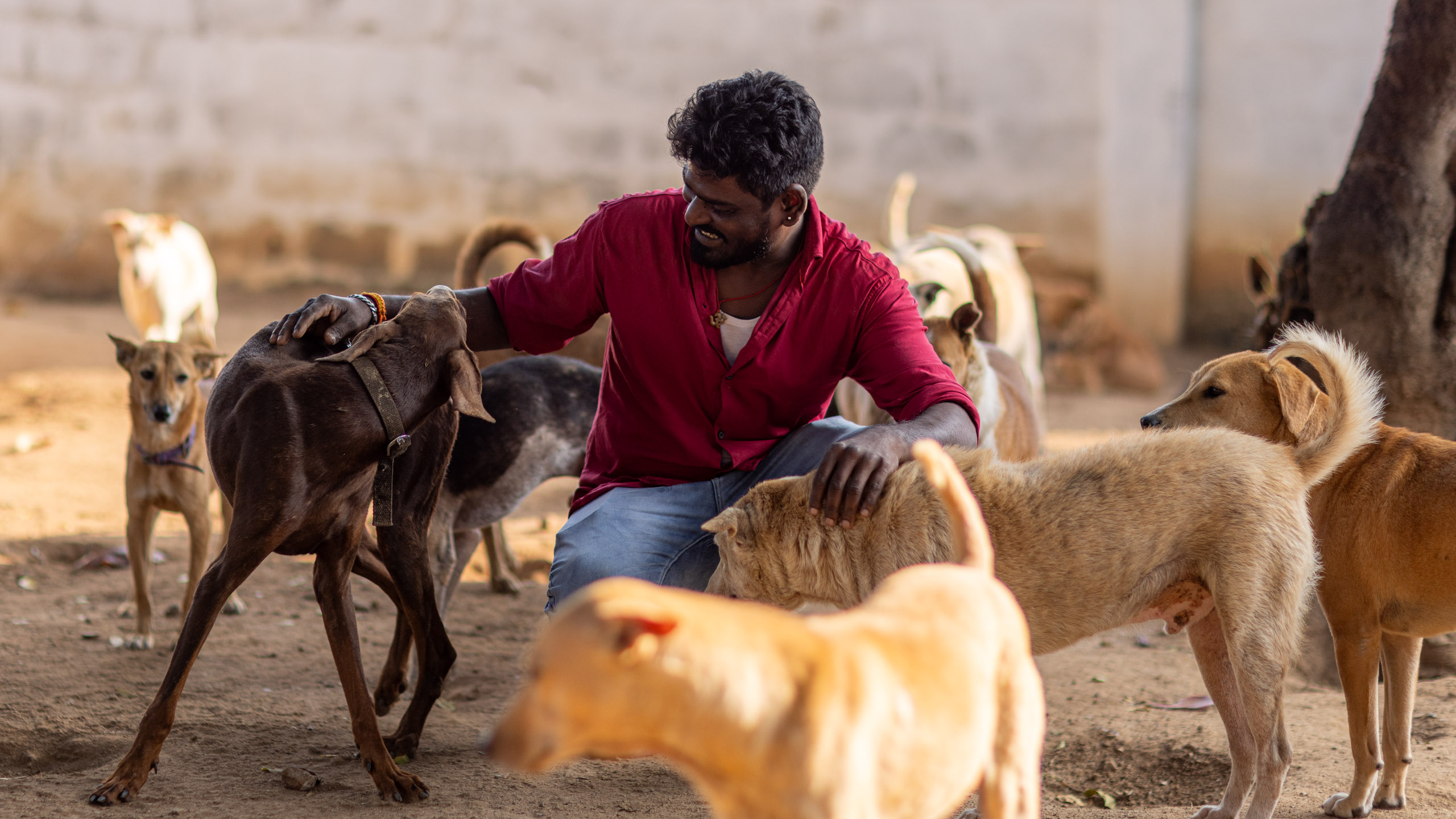 20240121161107 R5D 3925