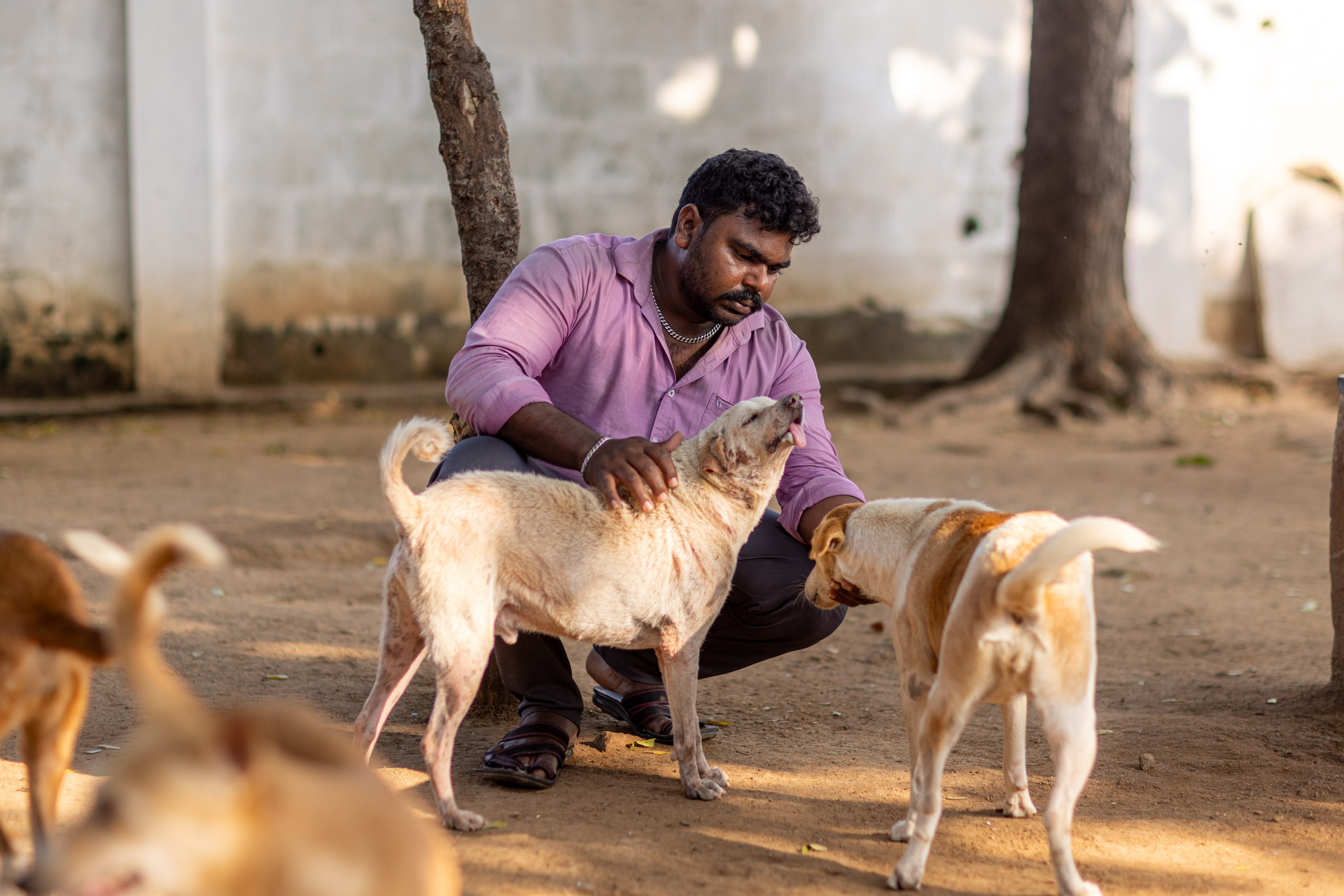 20240121161132 R5D 3943