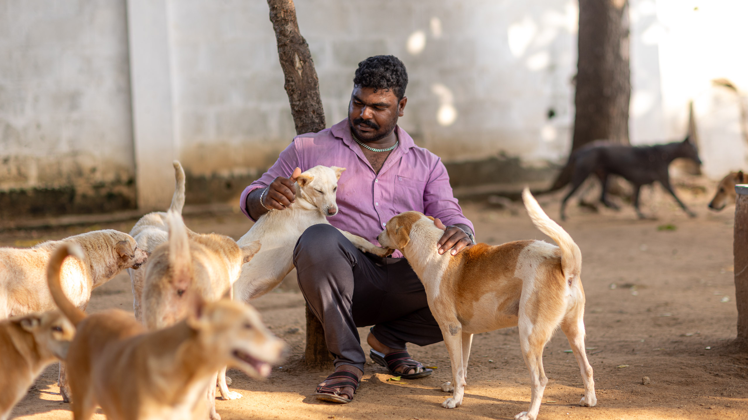 20240121161159 R5D 3948